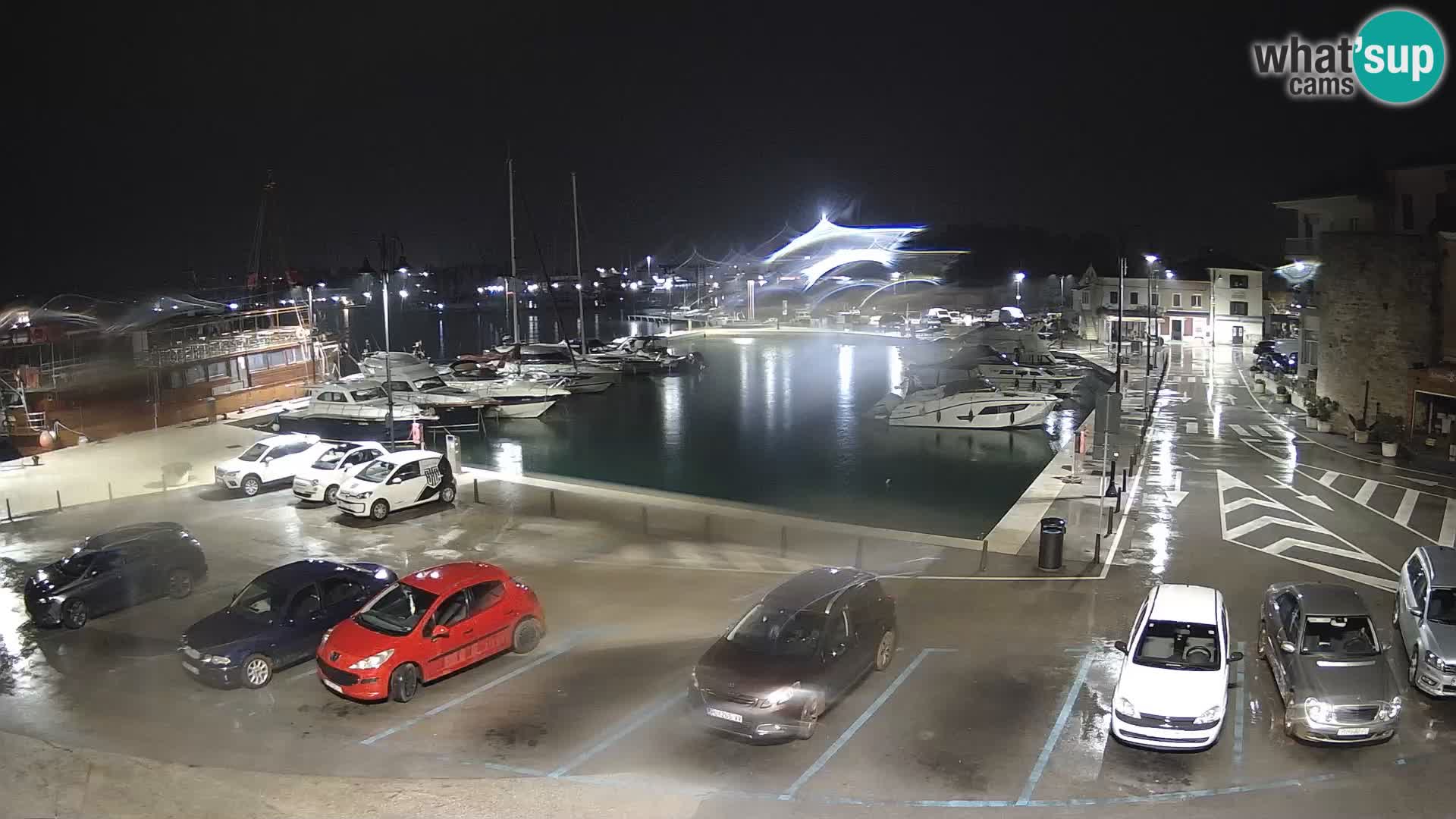 Novigrad | Porporela marina