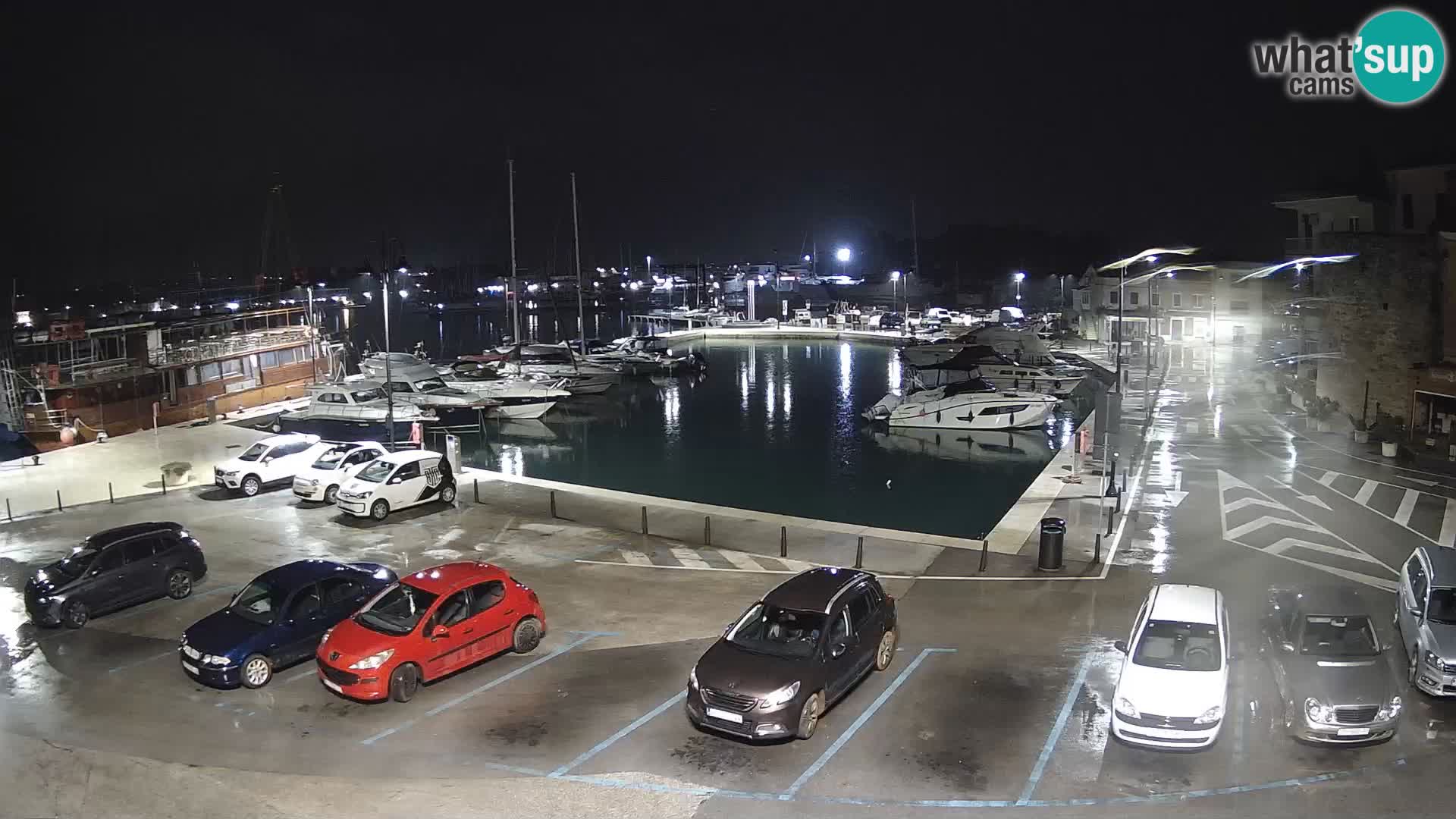 Novigrad | Porporela marina