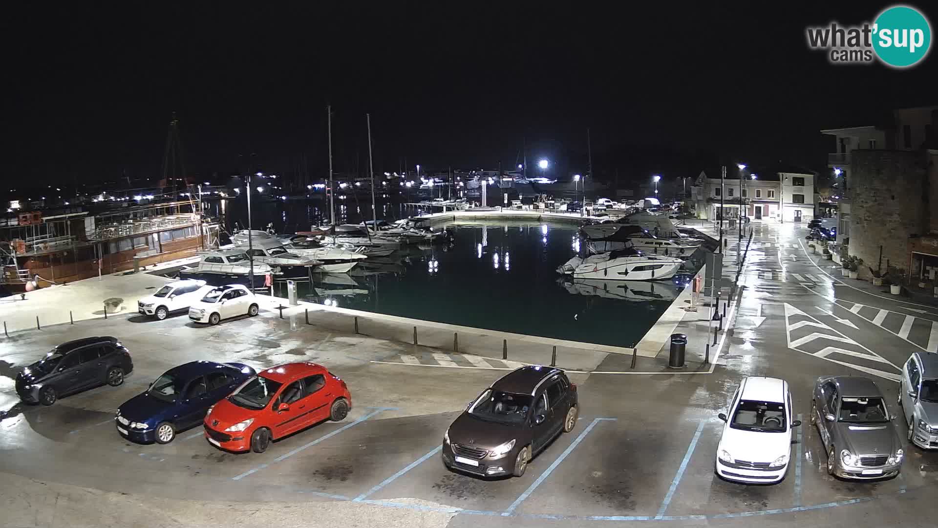 Novigrad | Porporela marina