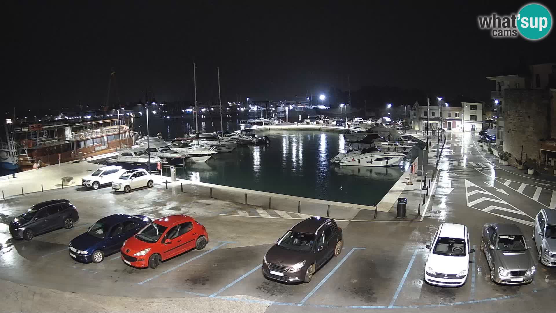 Novigrad | Porporela marina