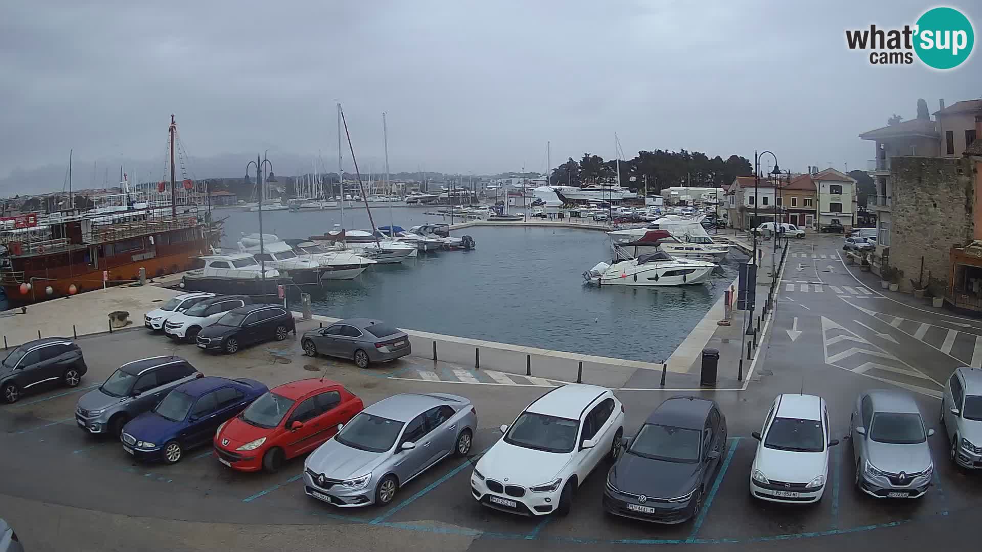 Novigrad | Porporela marina