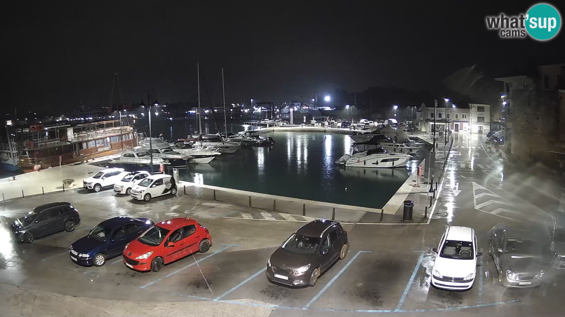 Novigrad | Porporela marina