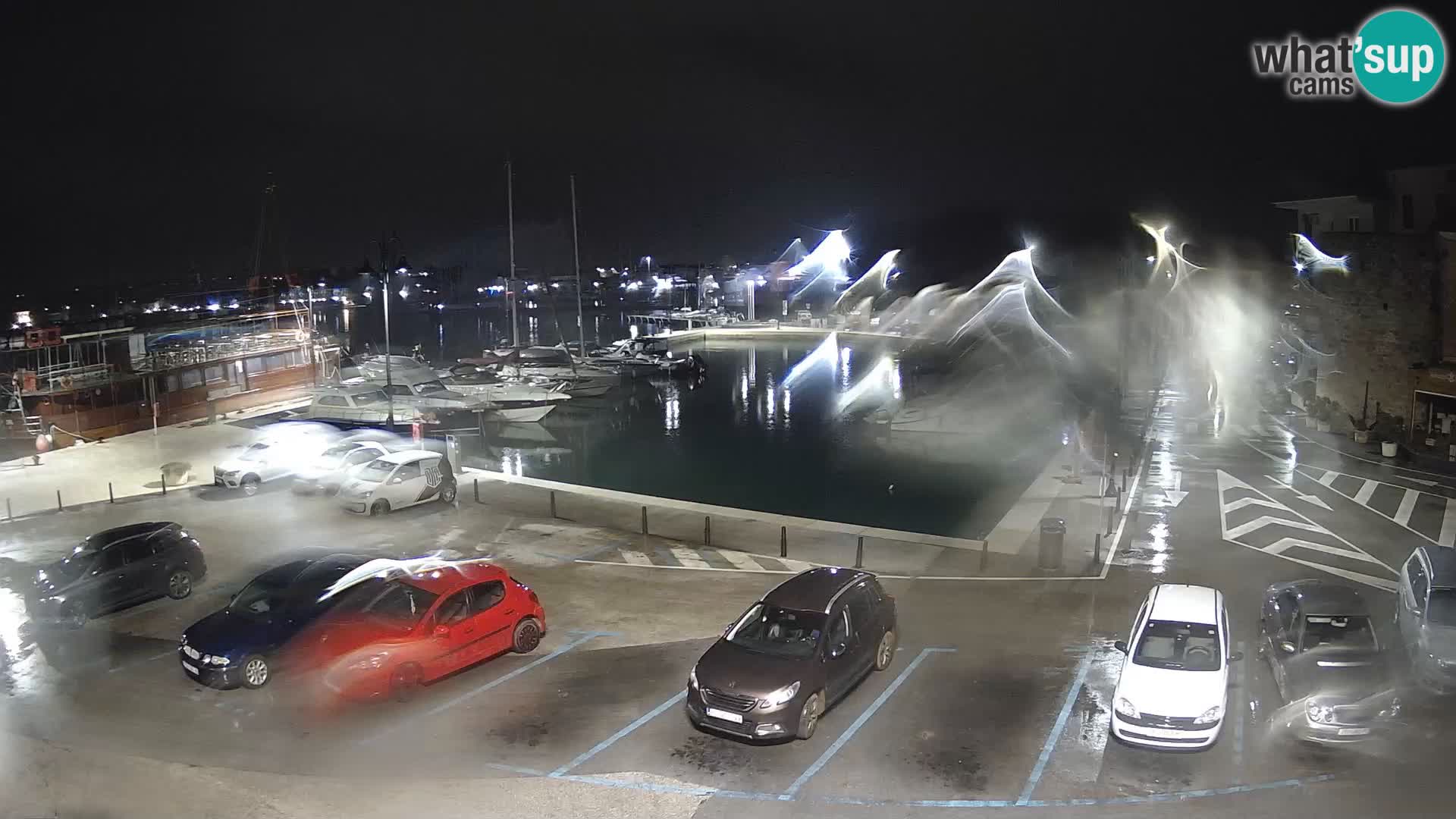 Novigrad | Porporela marina