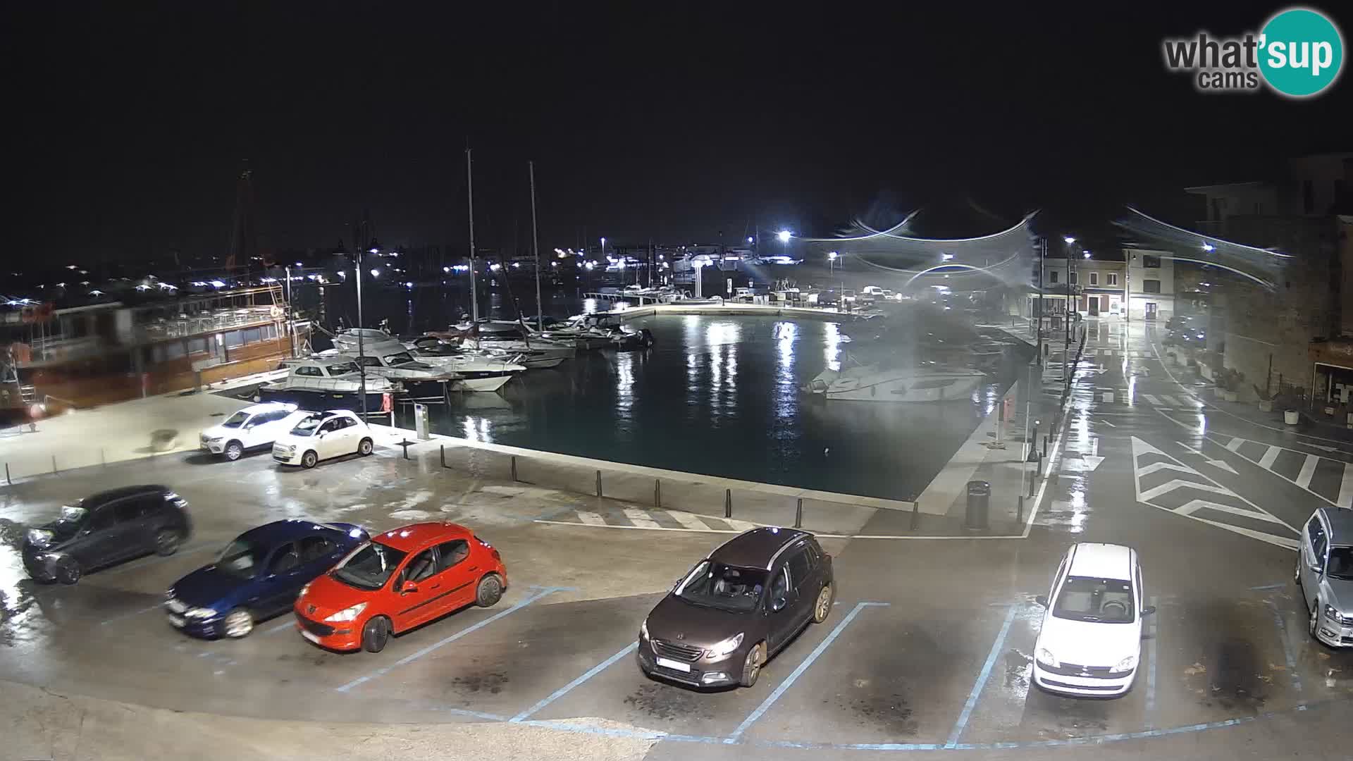 Novigrad | Porporela marina