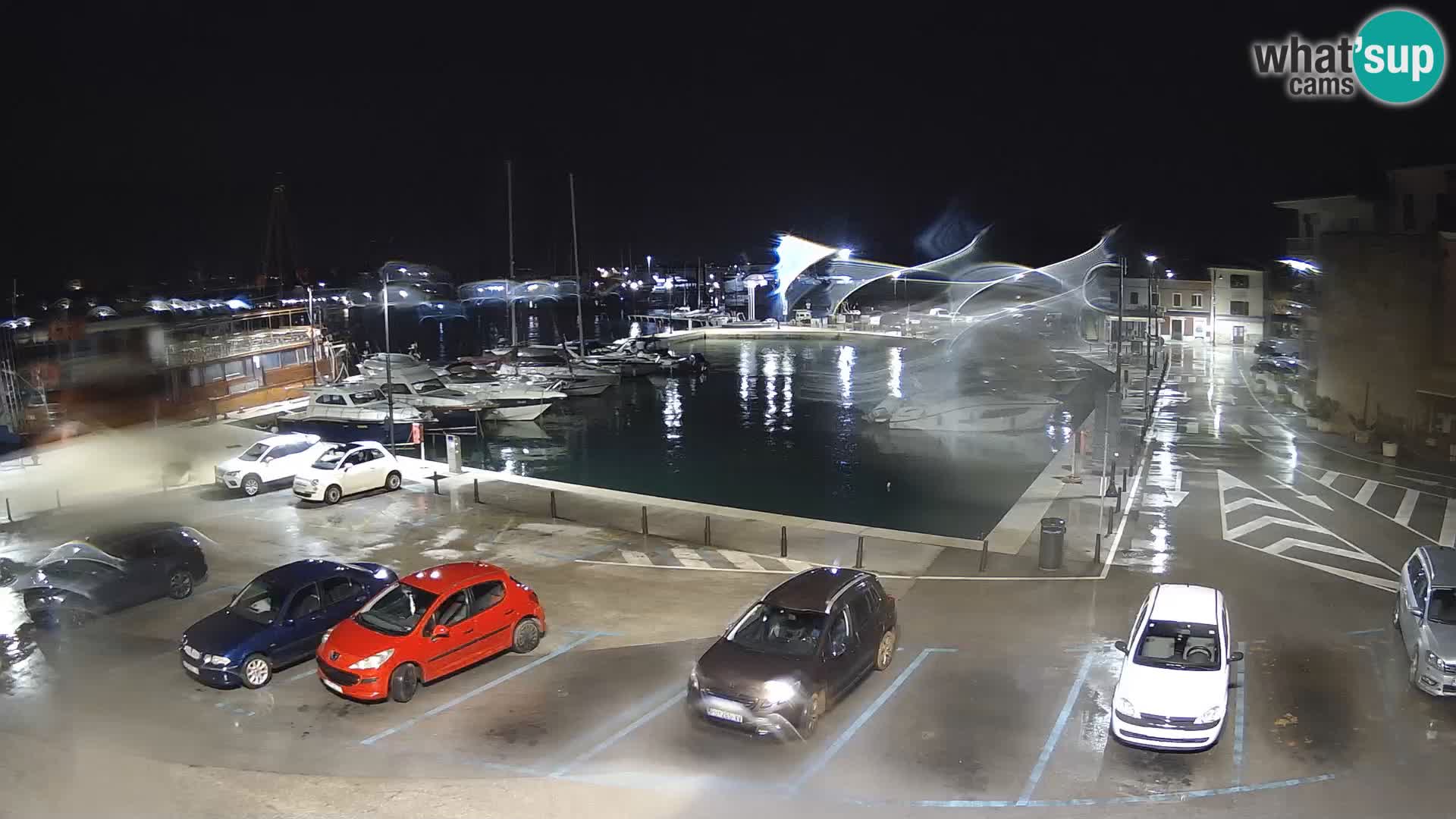 Novigrad | Porporela marina