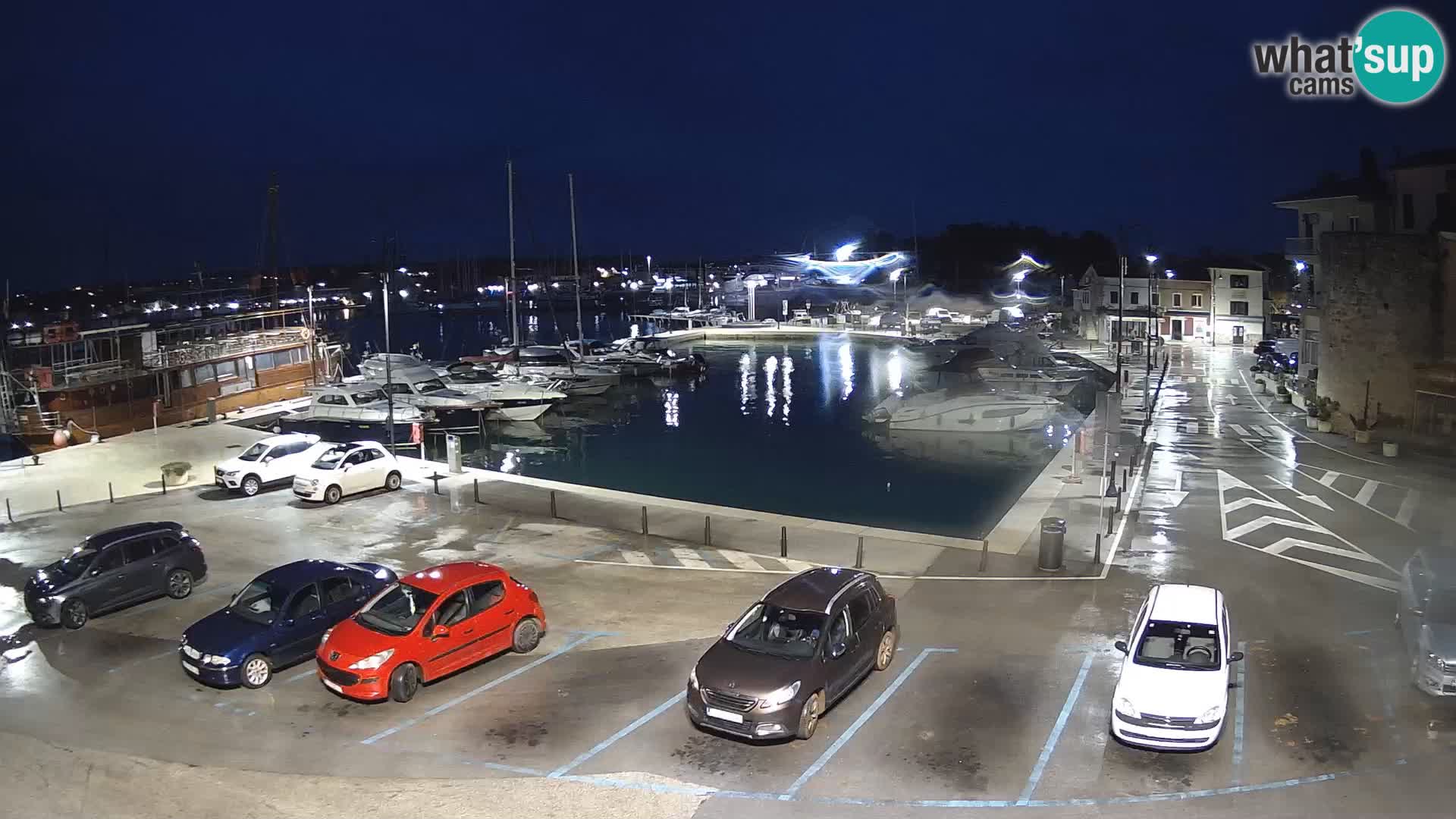 Novigrad | Porporela marina