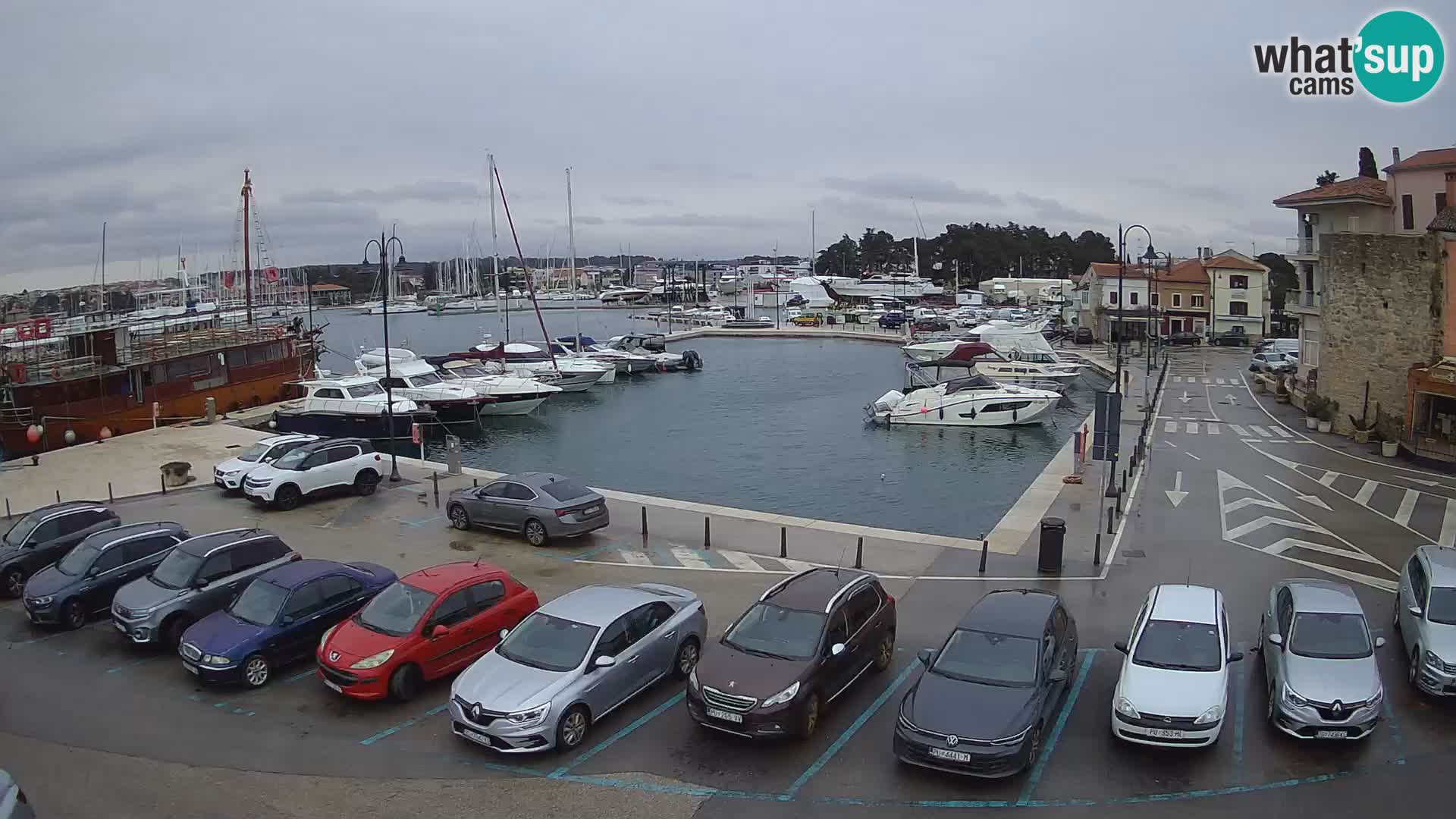 Novigrad | Porporela marina