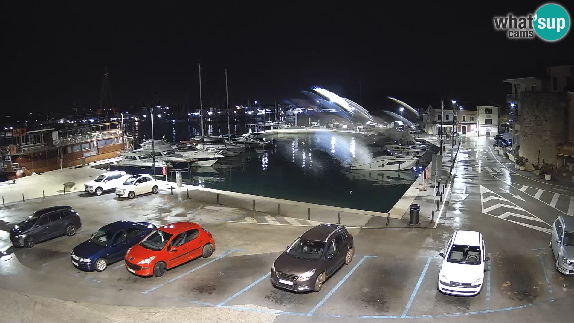 Novigrad | Porporela marina