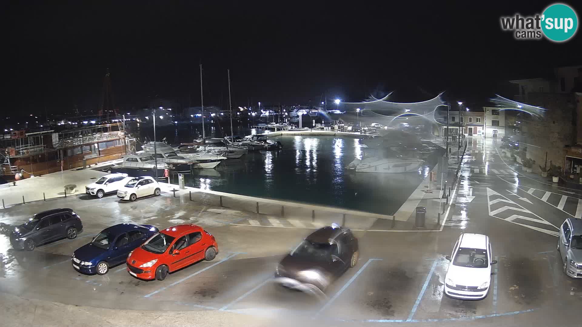 Novigrad | Porporela marina