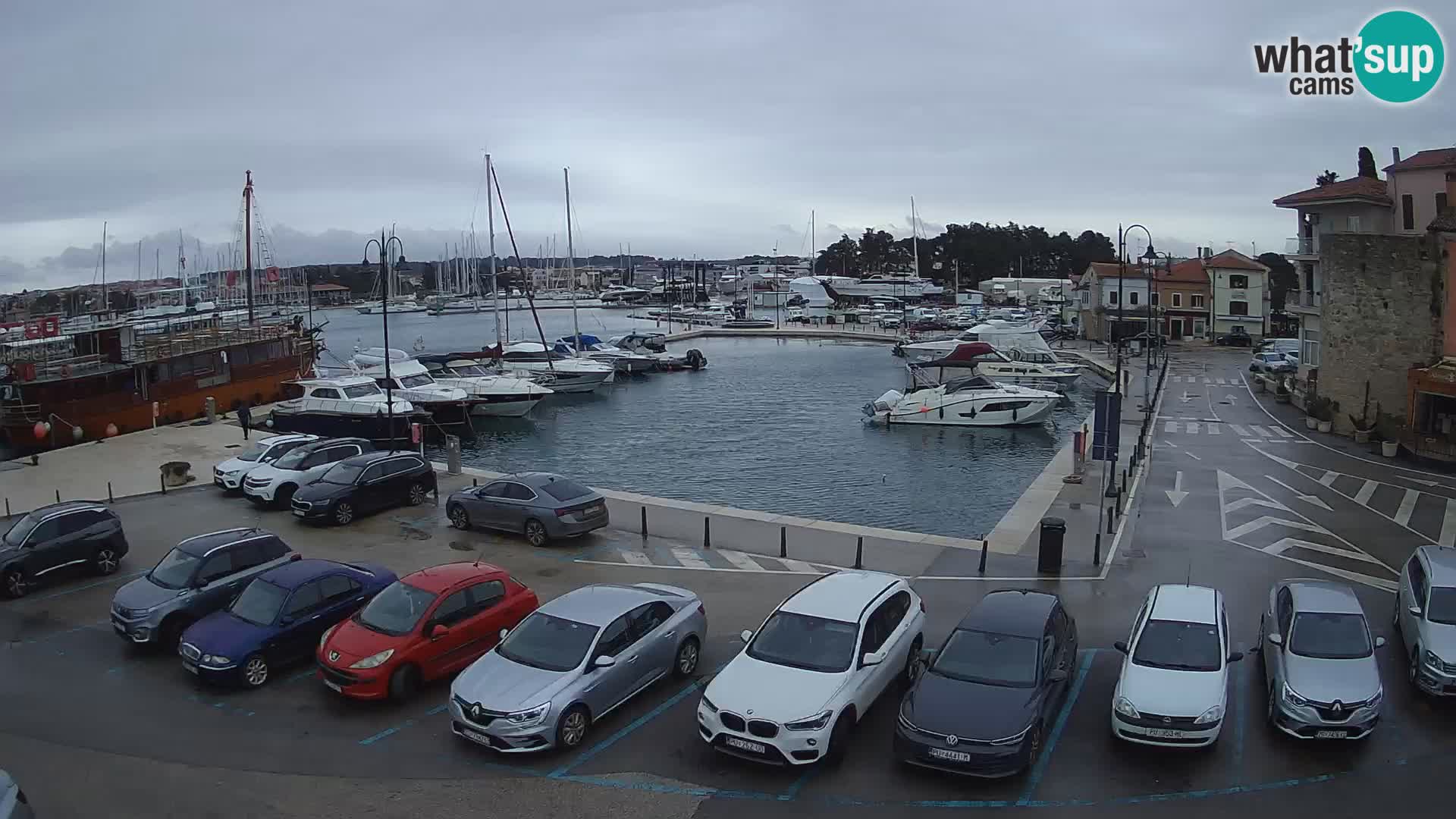 Novigrad | Porporela marina