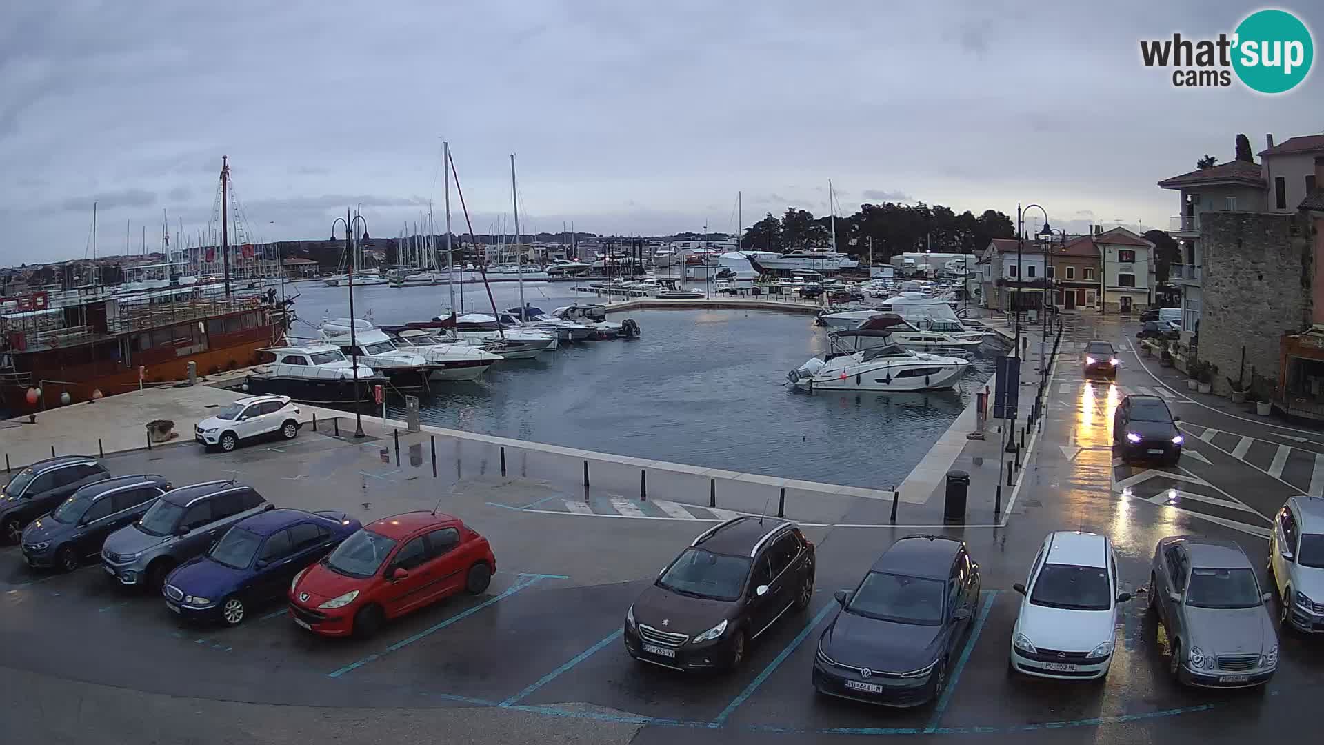 Novigrad | Porporela marina