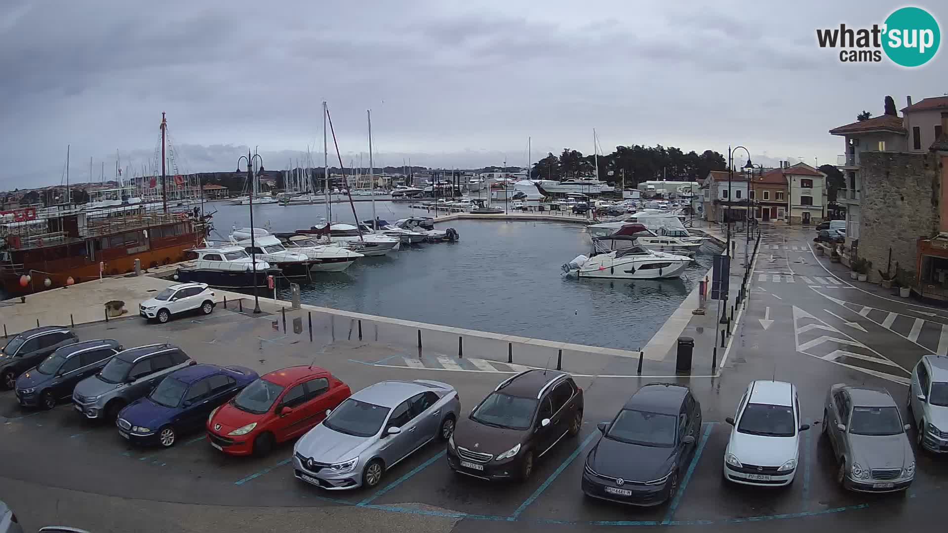 Novigrad | Porporela marina