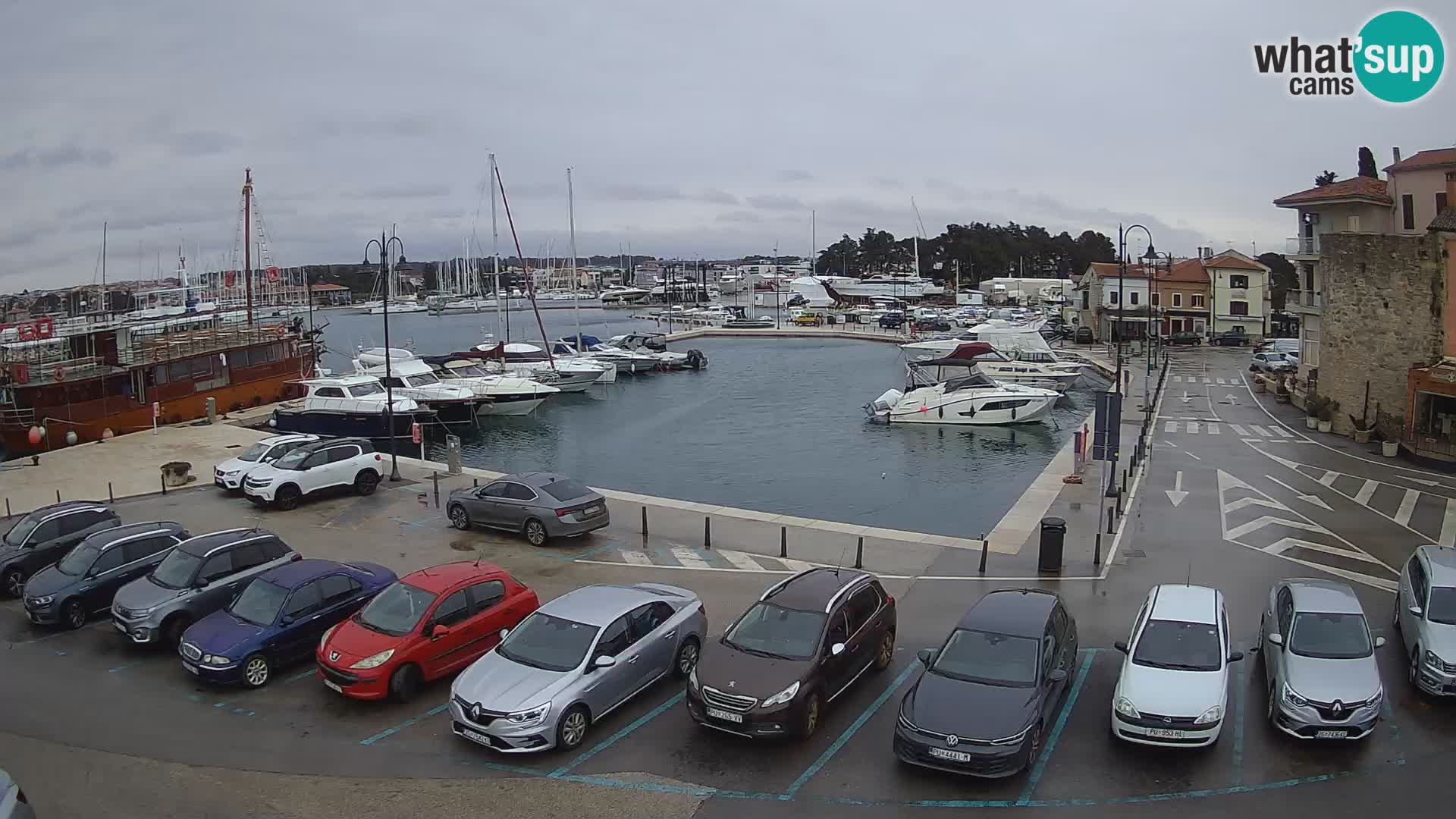 Novigrad | Porporela marina