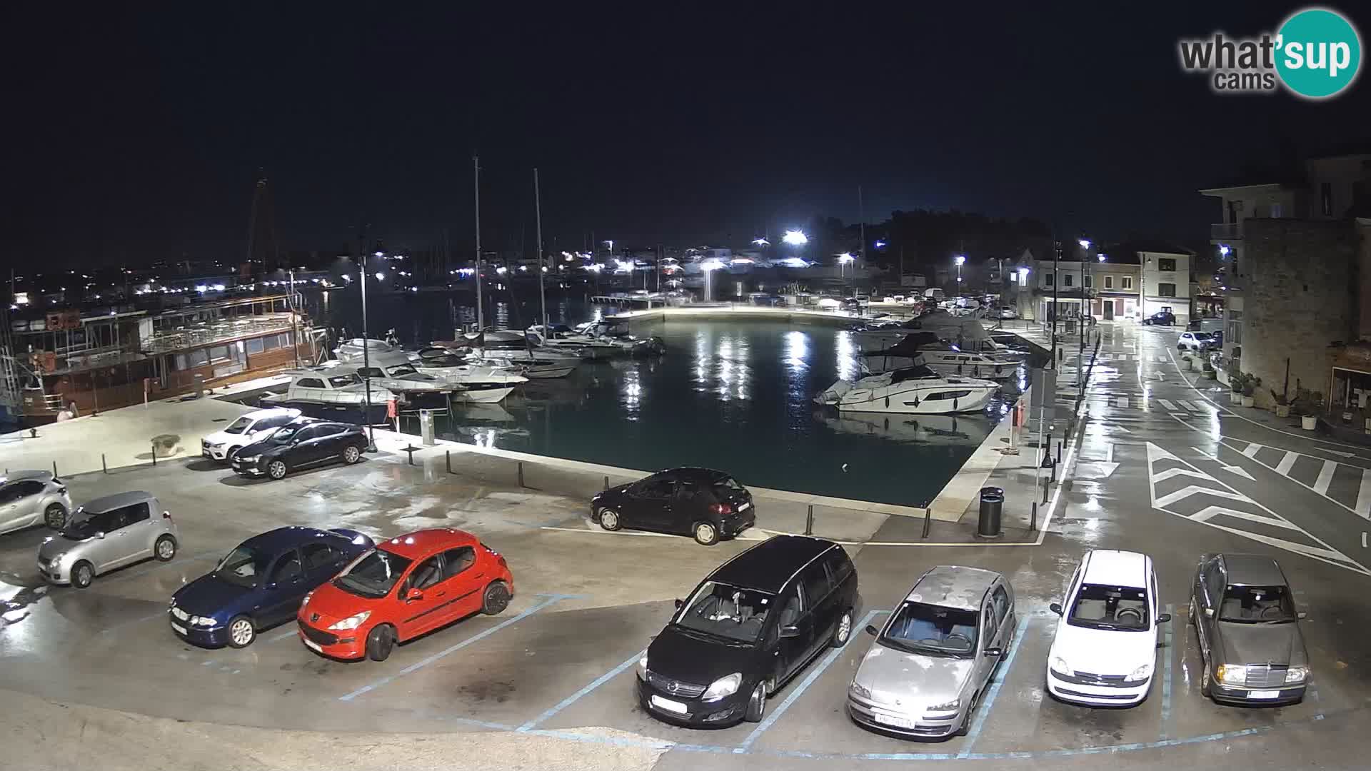 Novigrad | Porporela marina