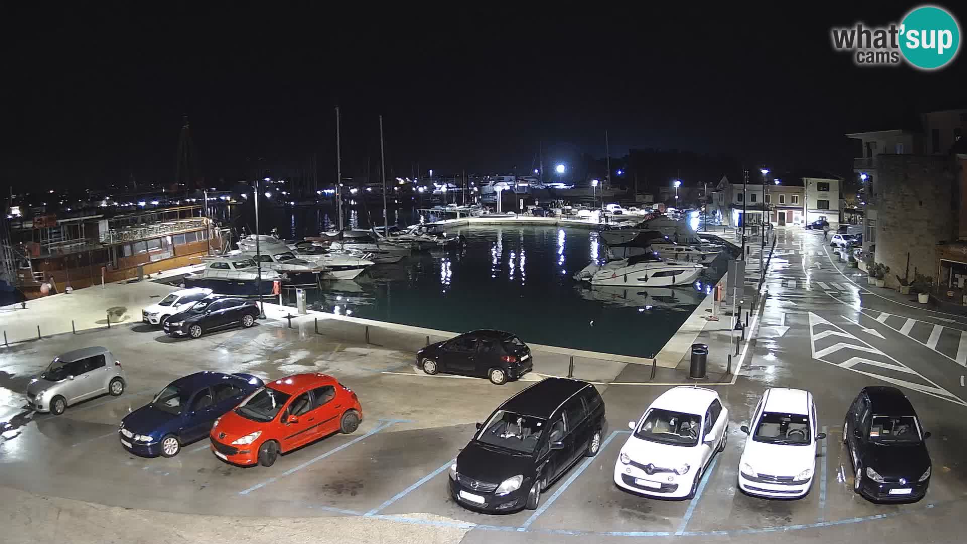 Novigrad | Porporela marina