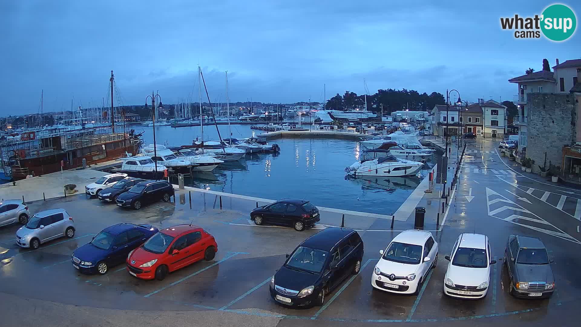 Novigrad | Porporela marina