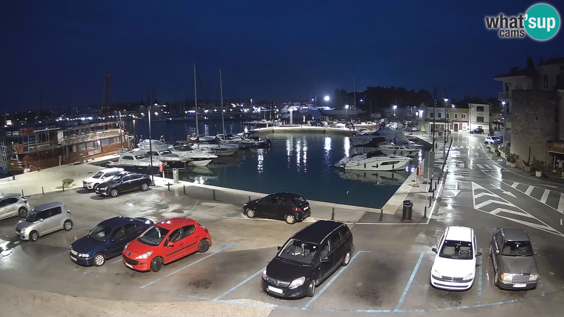Novigrad | Porporela marina