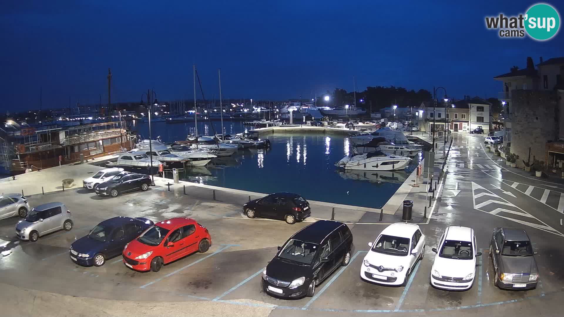 Novigrad | Porporela marina