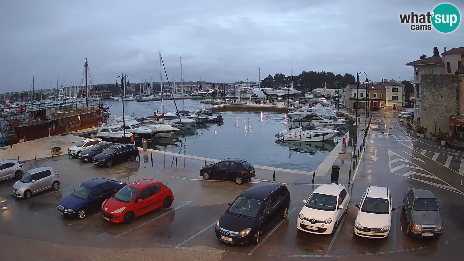 Novigrad | Porporela marina