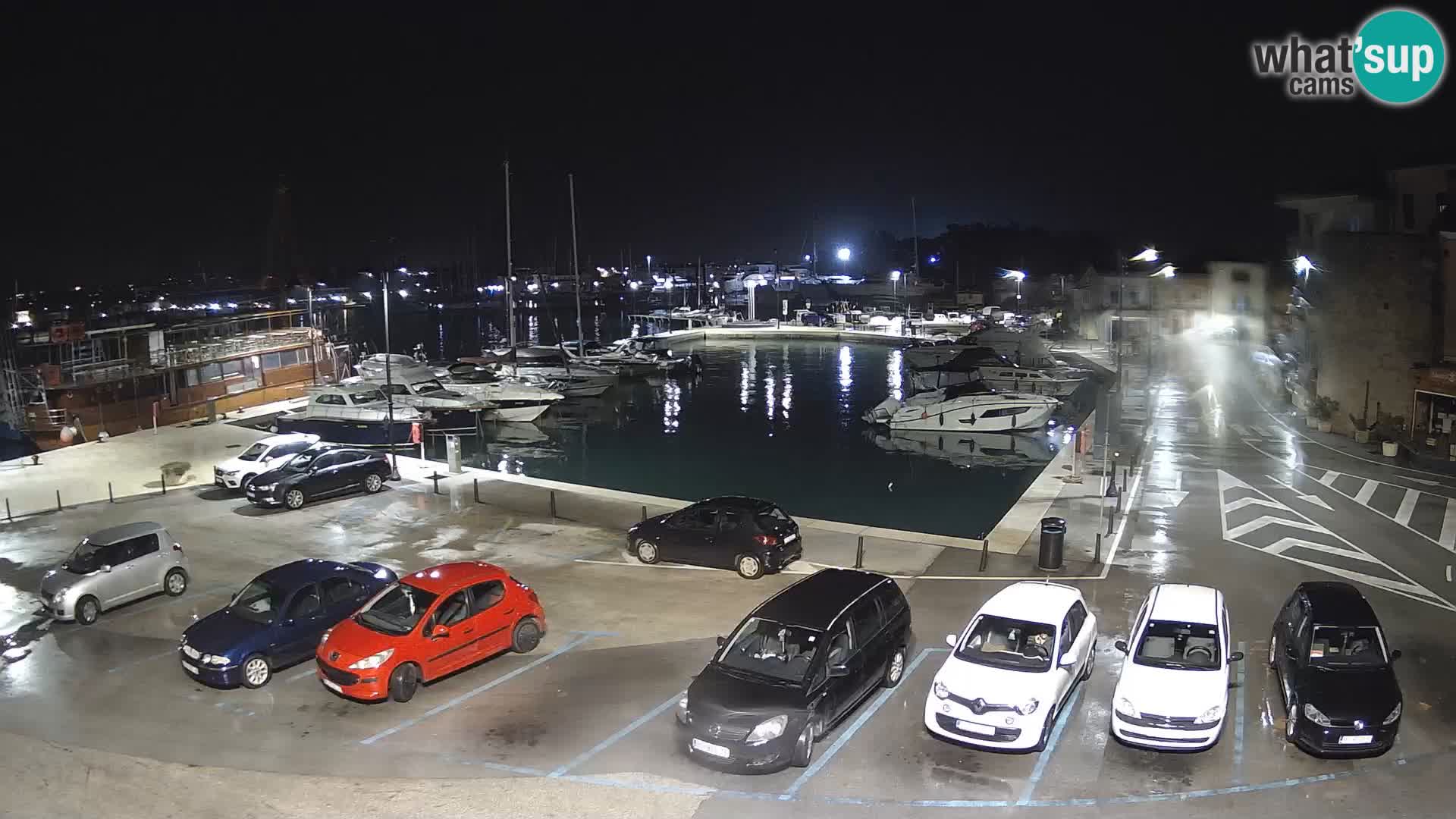 Novigrad | Porporela marina