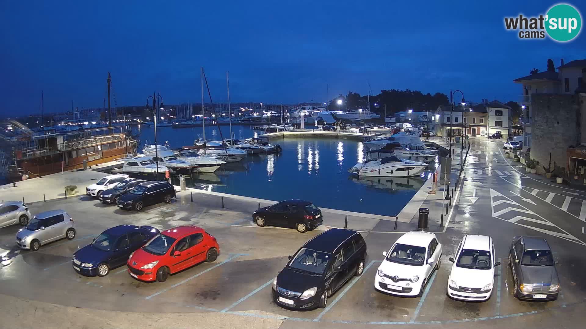 Novigrad | Porporela marina