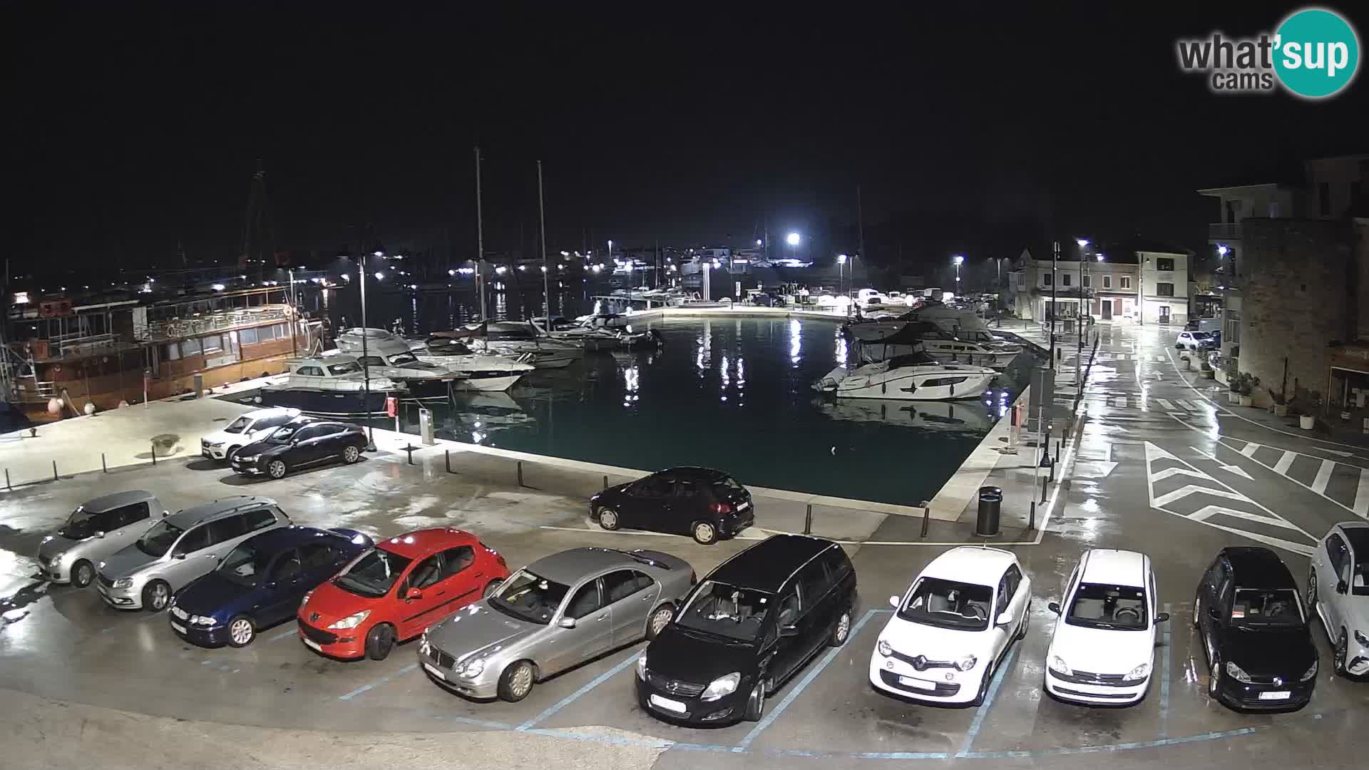 Novigrad | Porporela marina