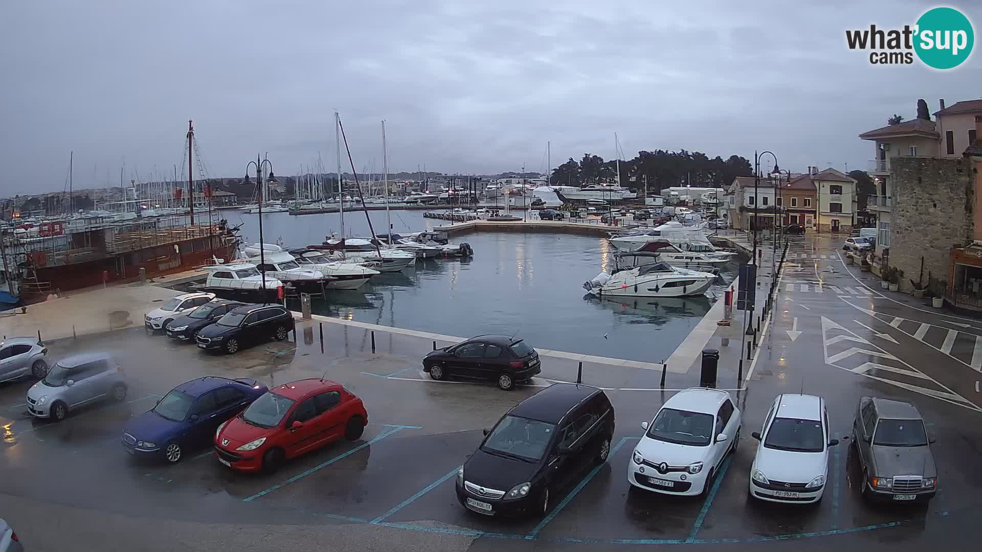 Novigrad | Porporela marina