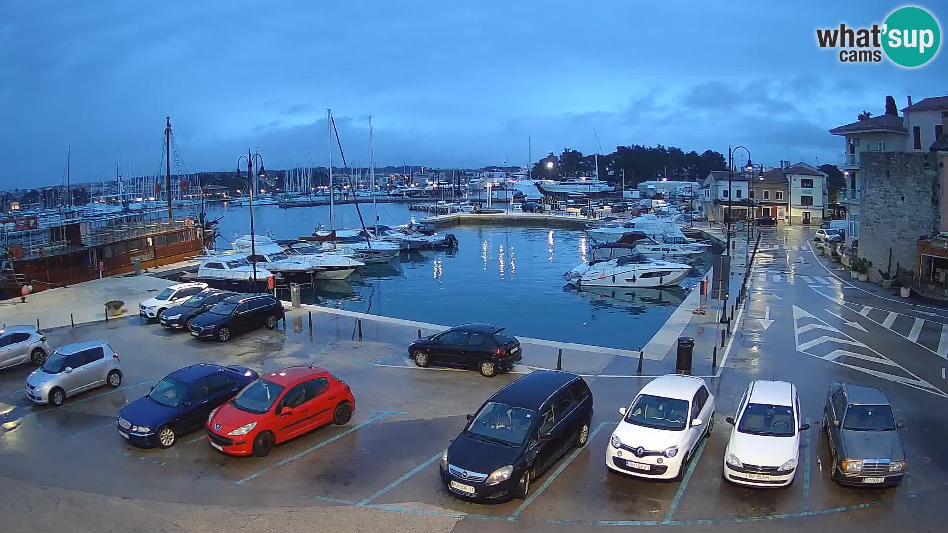 Novigrad | Porporela marina