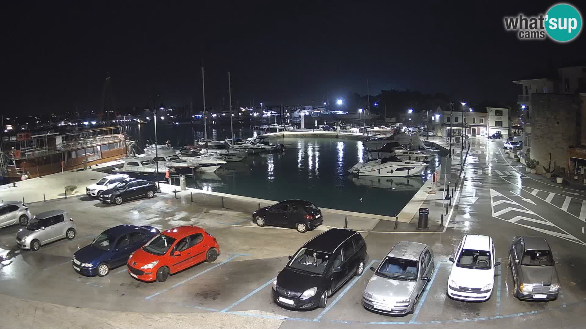 Novigrad | Porporela marina