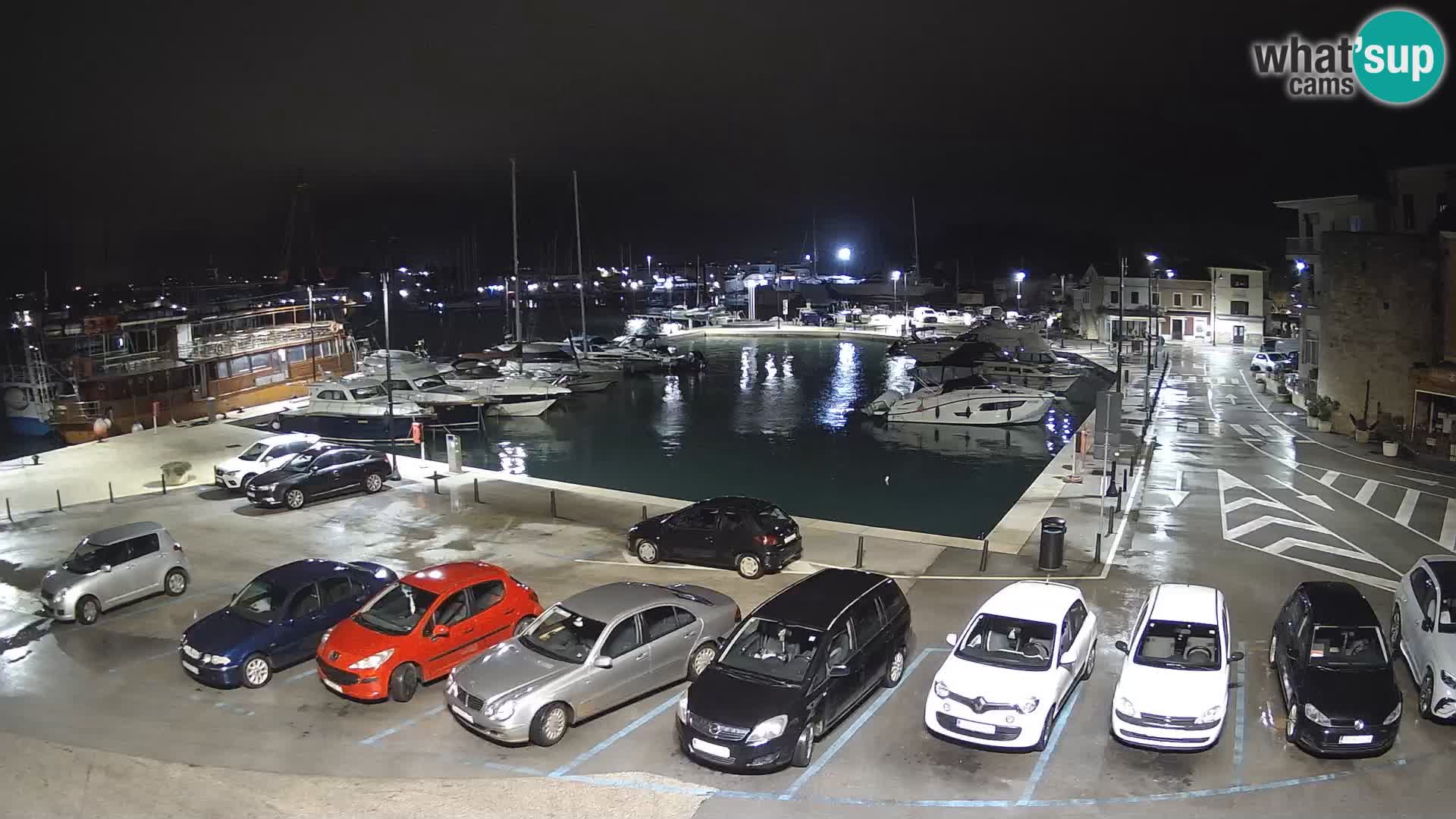 Novigrad | Porporela marina