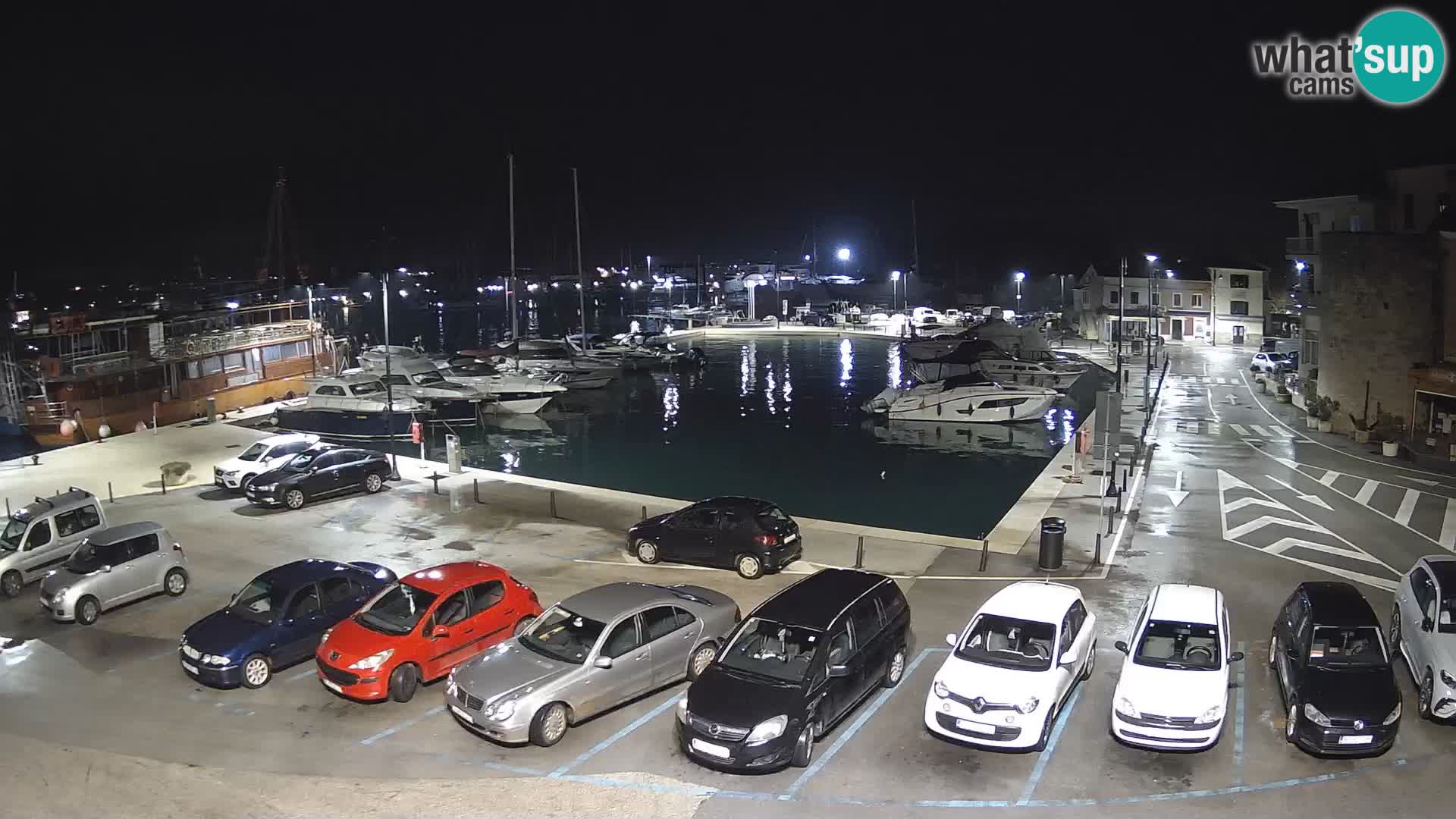 Novigrad | Porporela marina