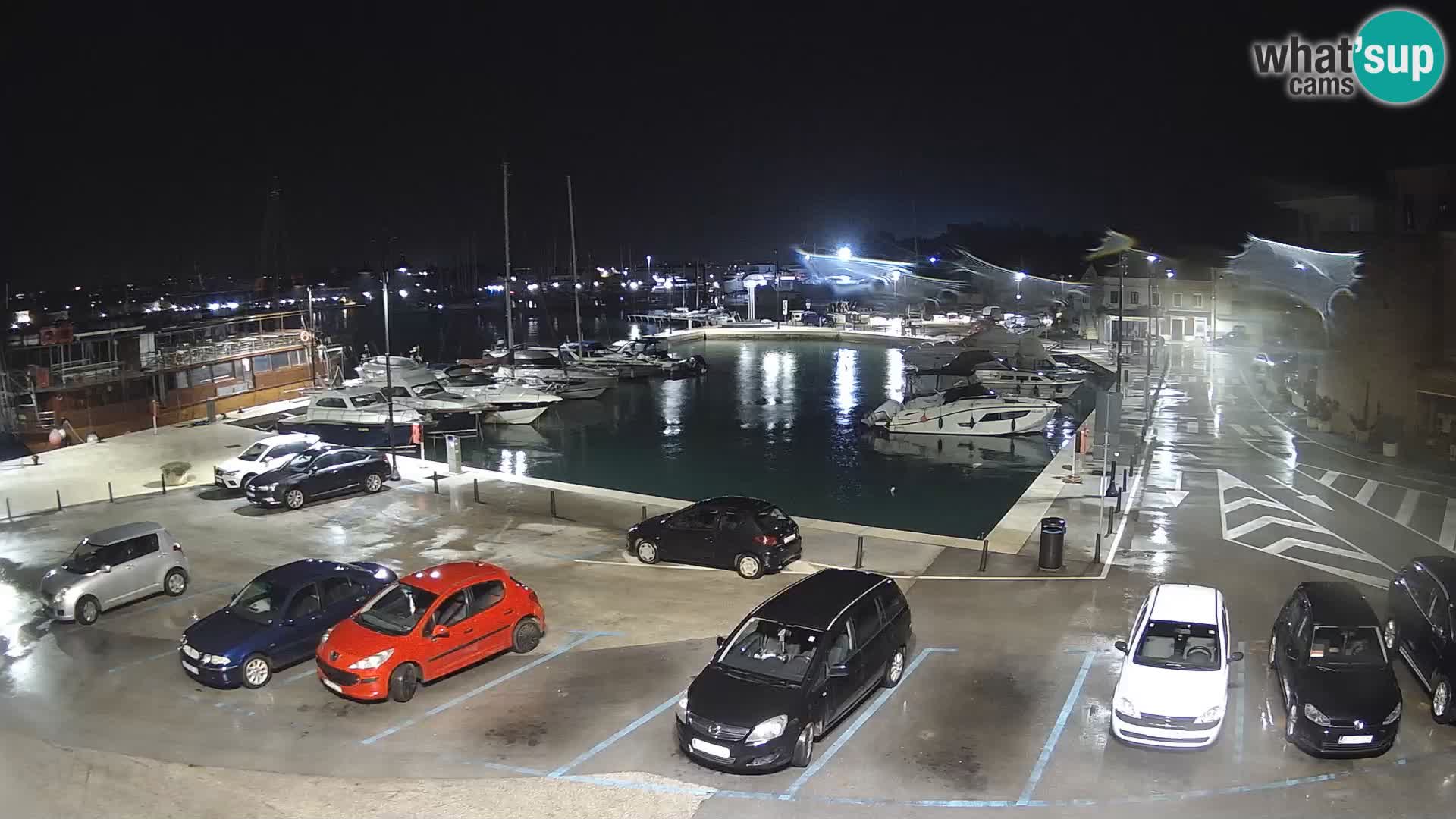 Novigrad | Porporela marina