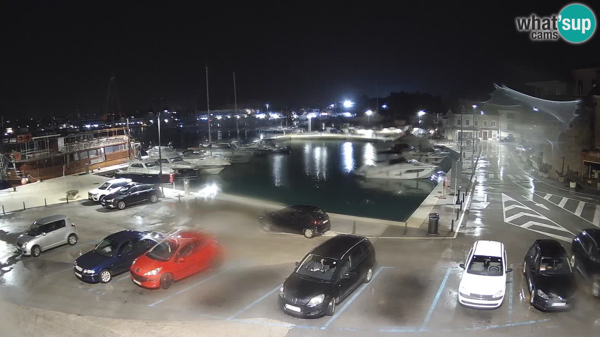 Novigrad | Porporela marina