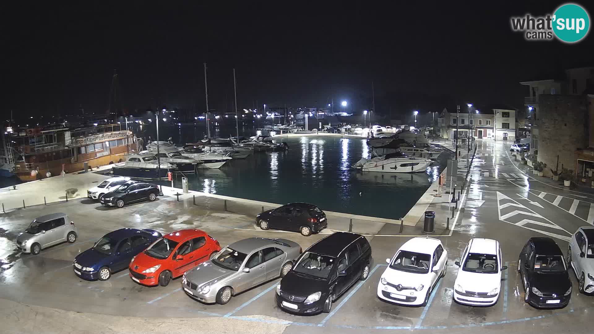 Novigrad | Porporela marina