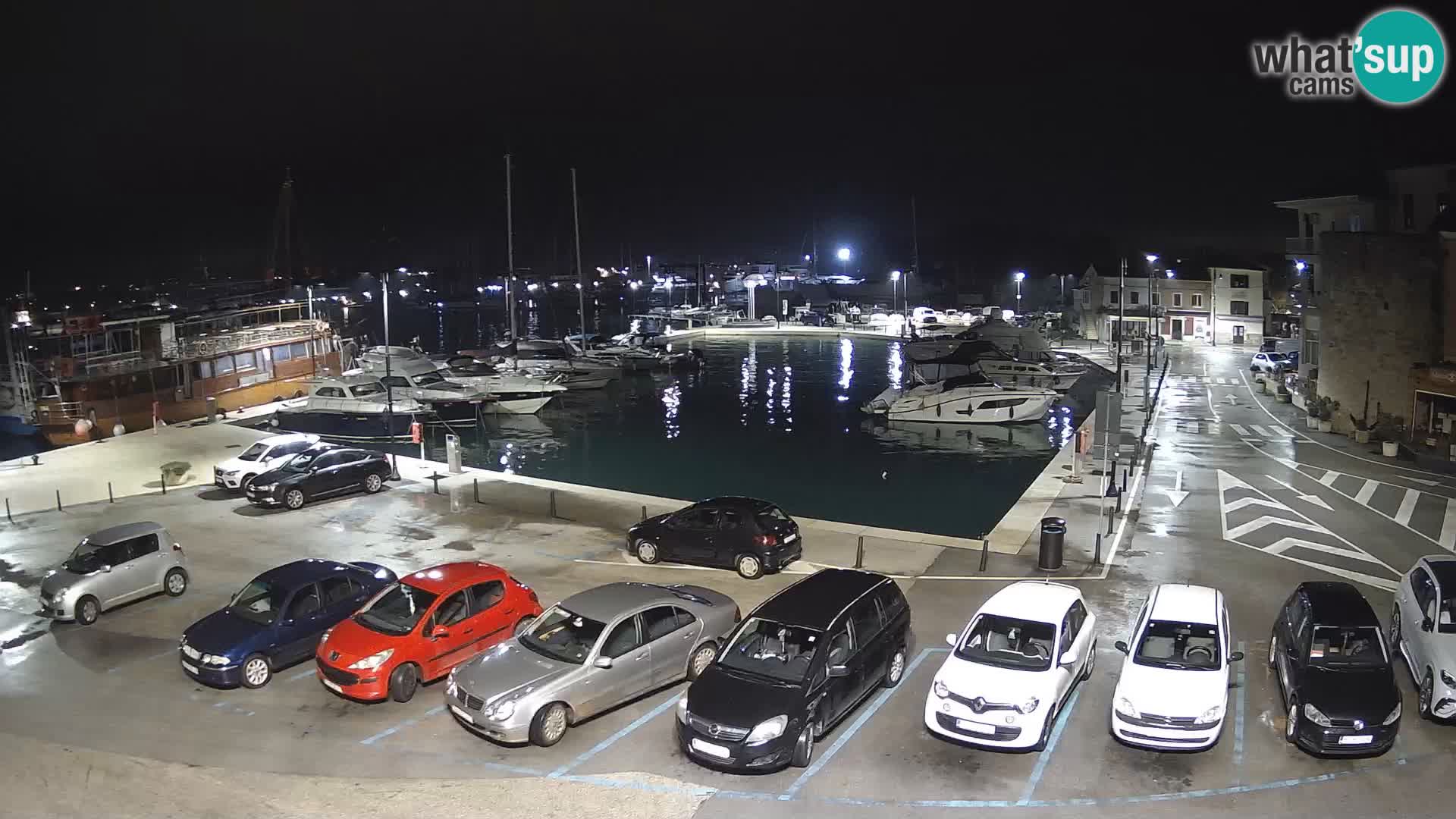 Novigrad | Porporela marina