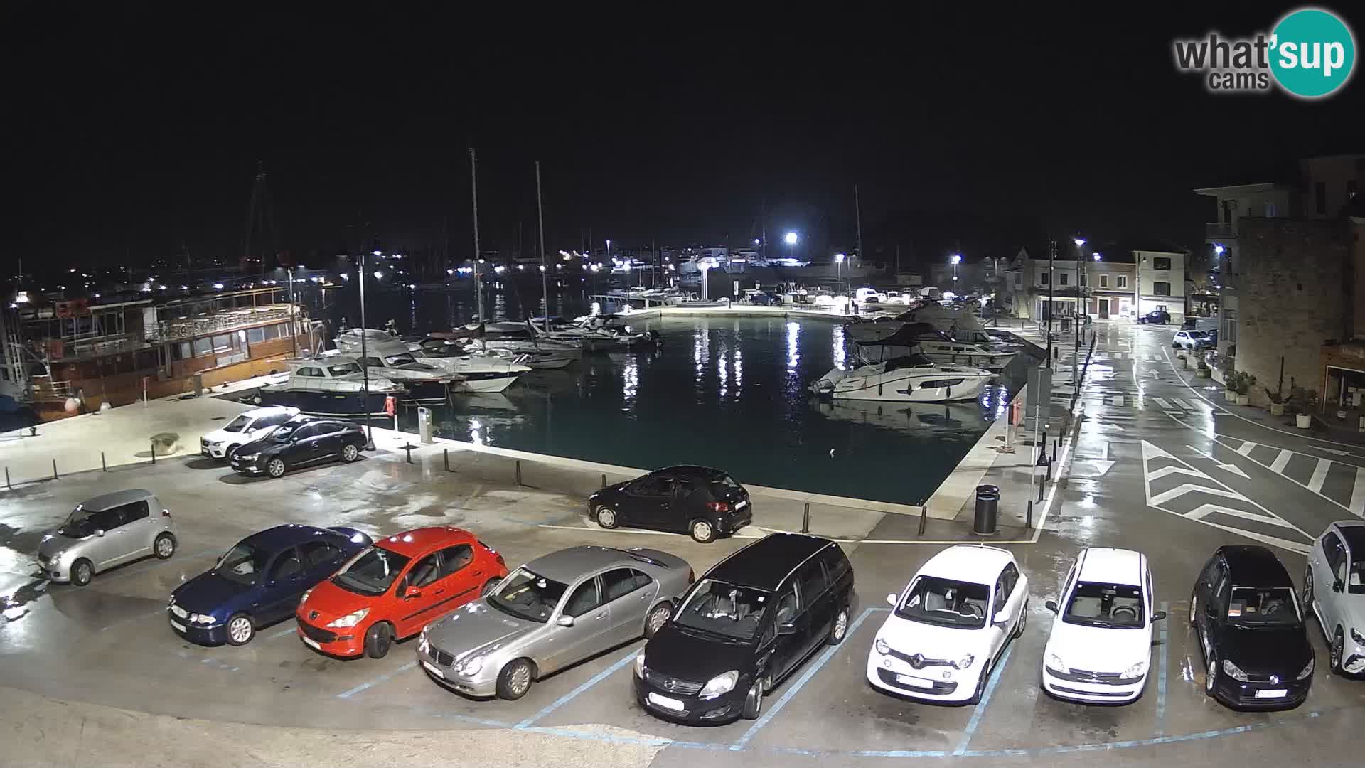 Novigrad | Porporela marina