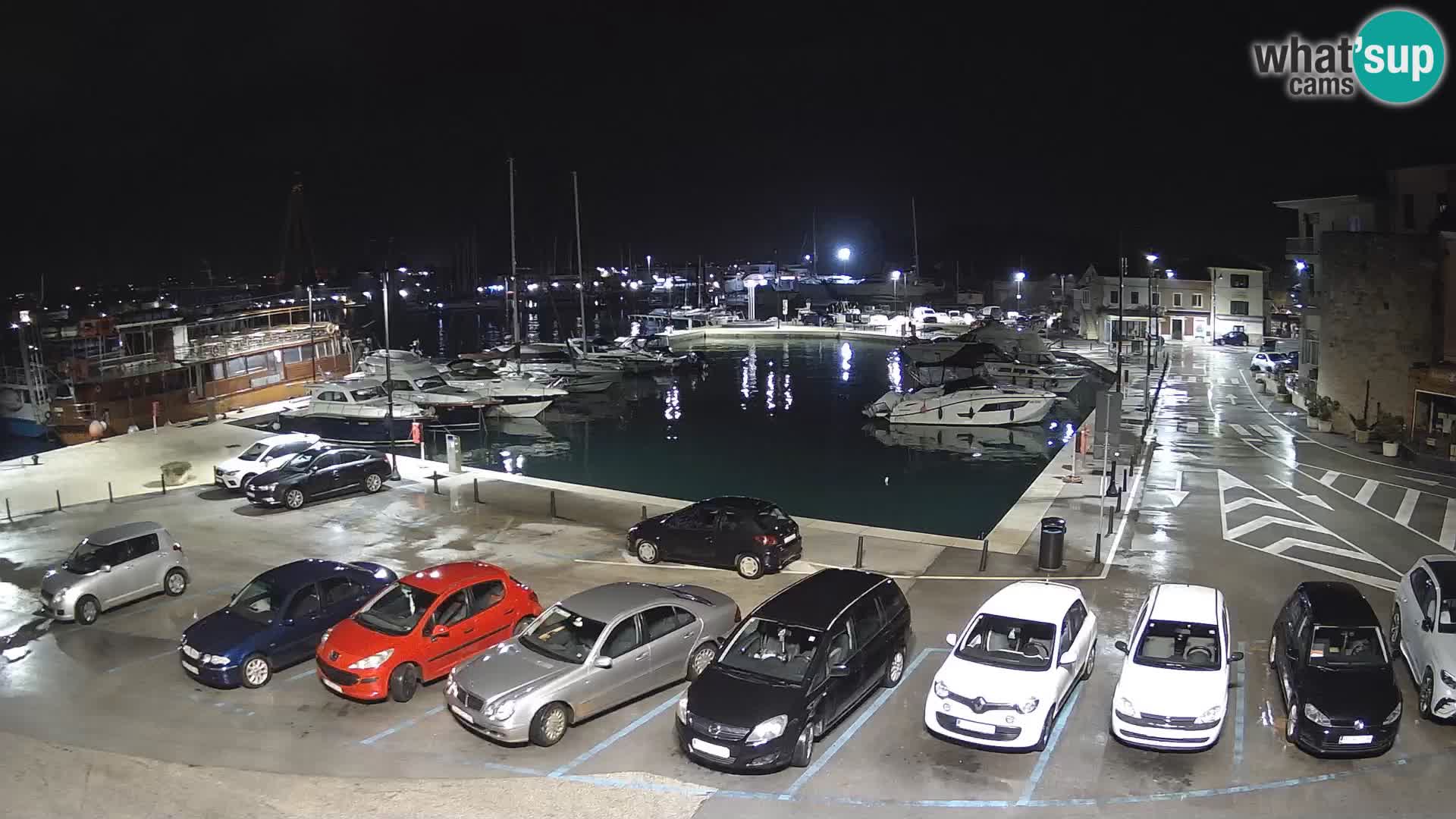 Novigrad | Porporela marina