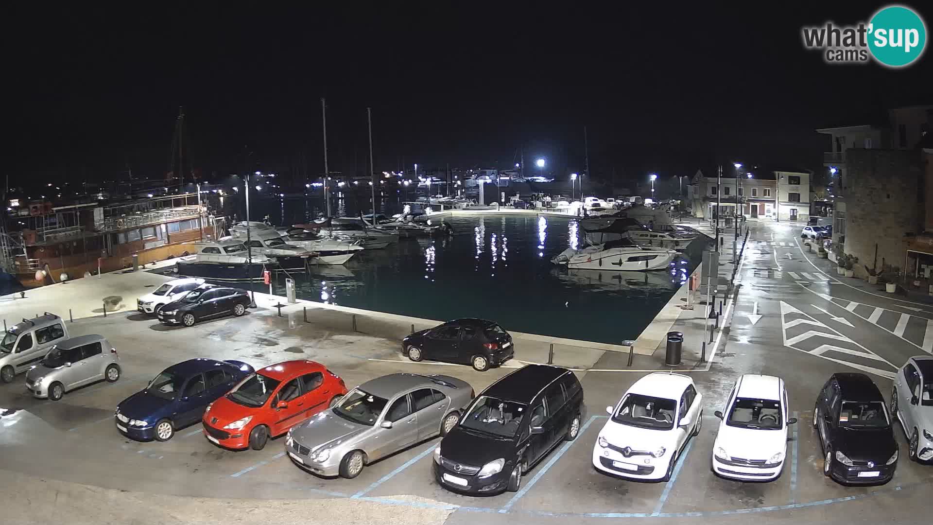 Novigrad | Porporela marina