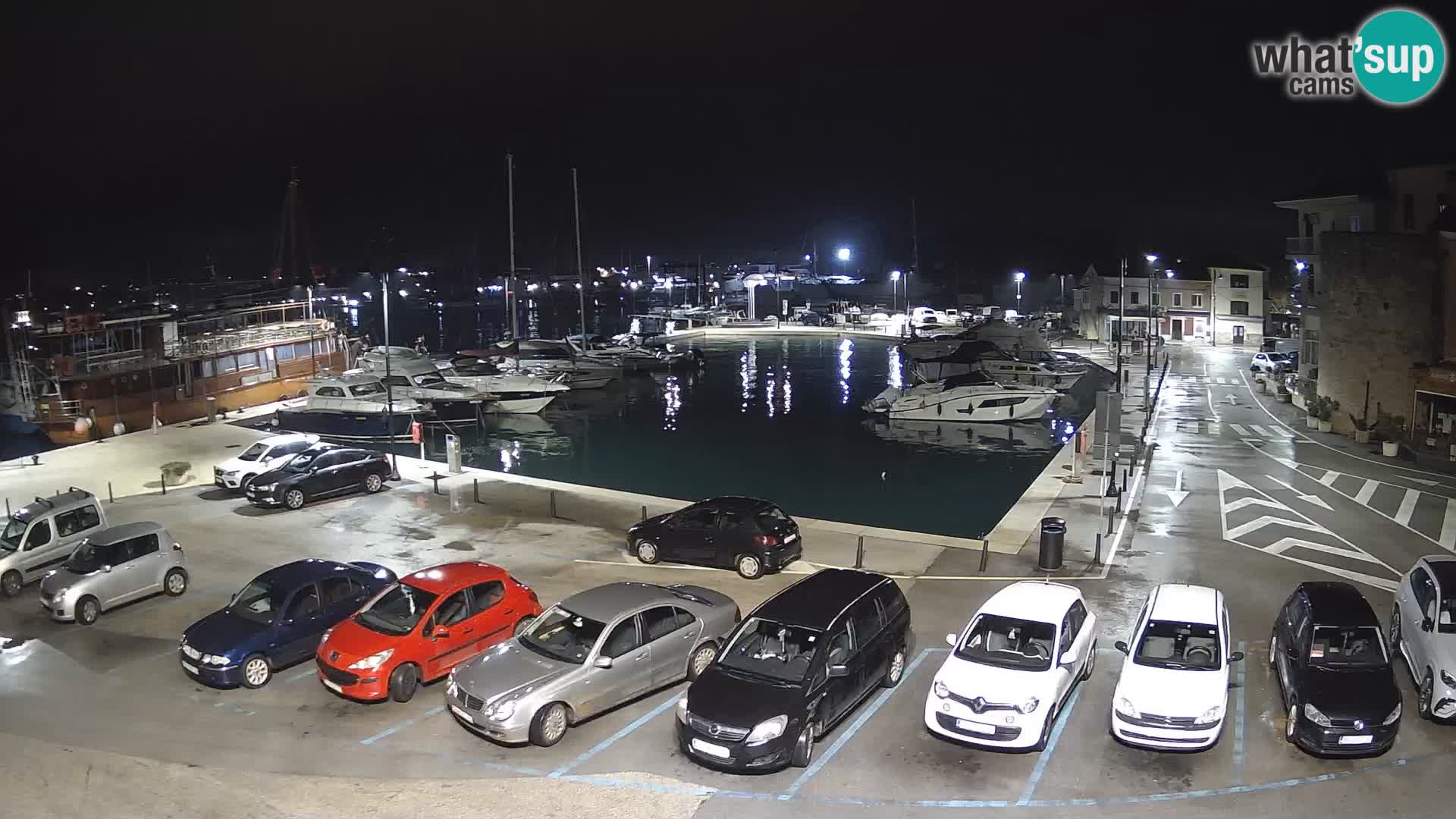 Novigrad | Porporela marina