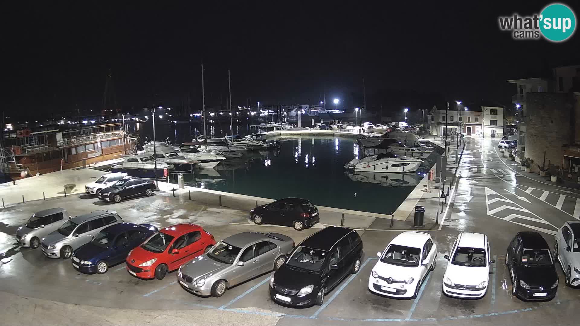 Novigrad | Porporela marina