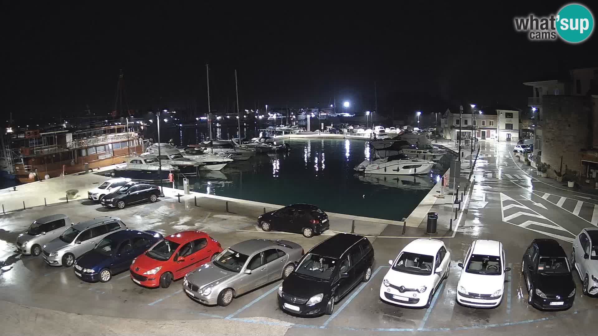 Novigrad | Porporela marina