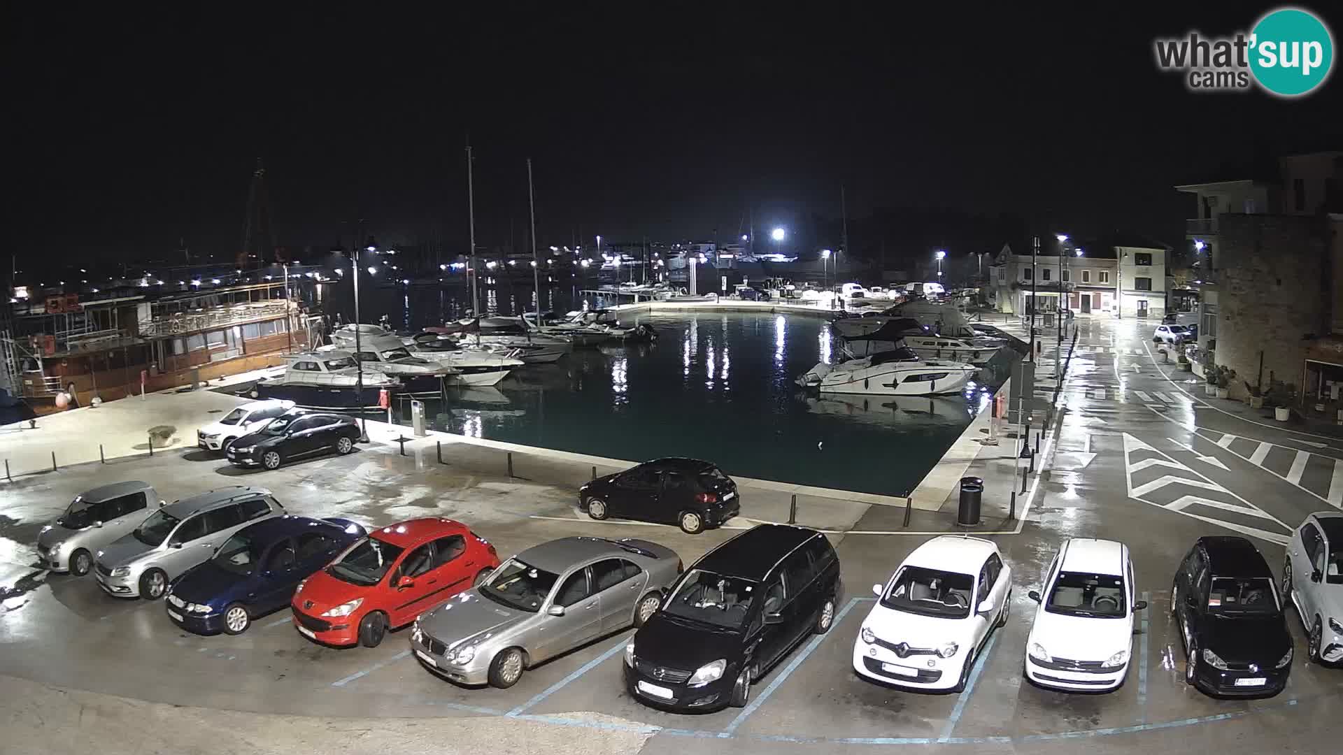 Novigrad | Porporela marina