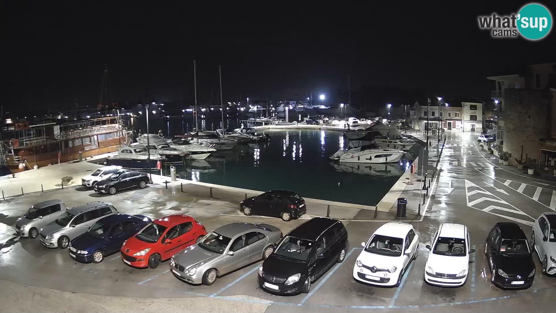 Novigrad | Porporela marina