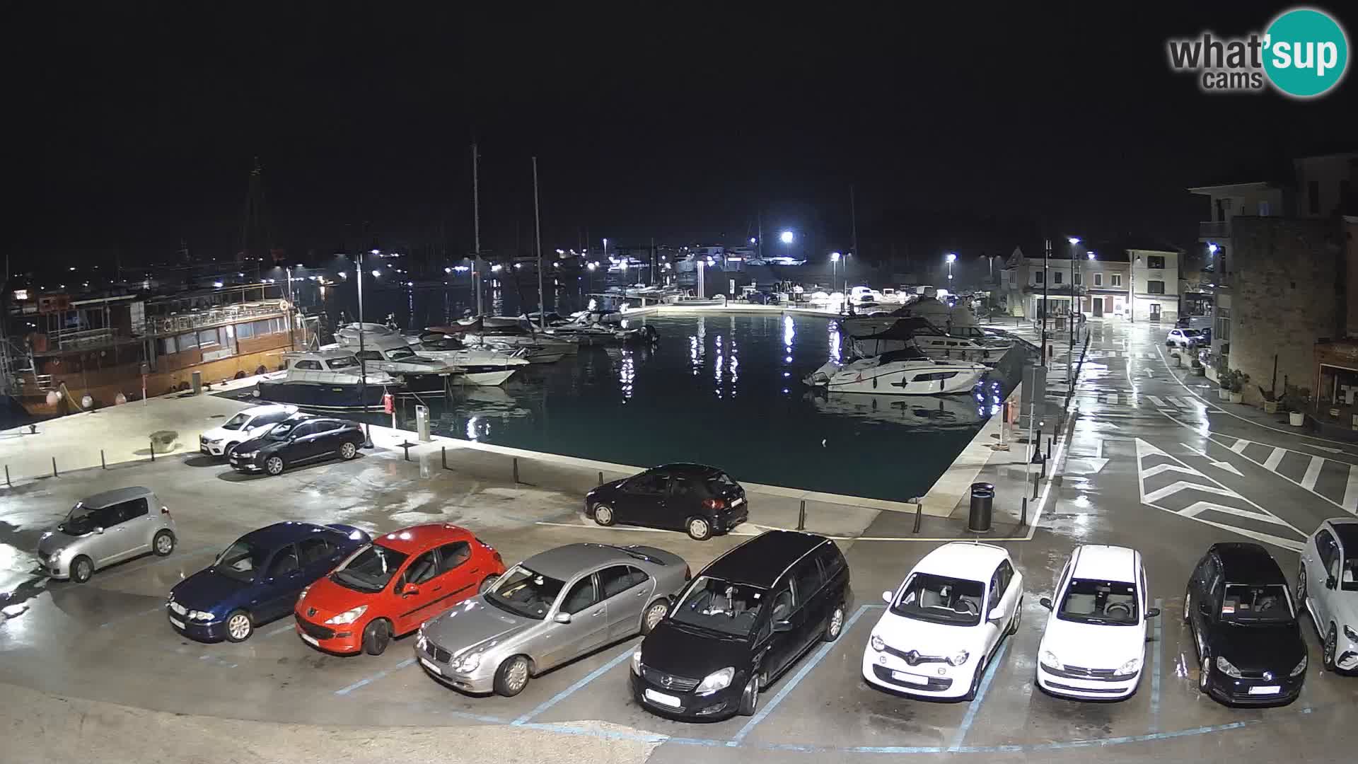 Novigrad | Porporela marina