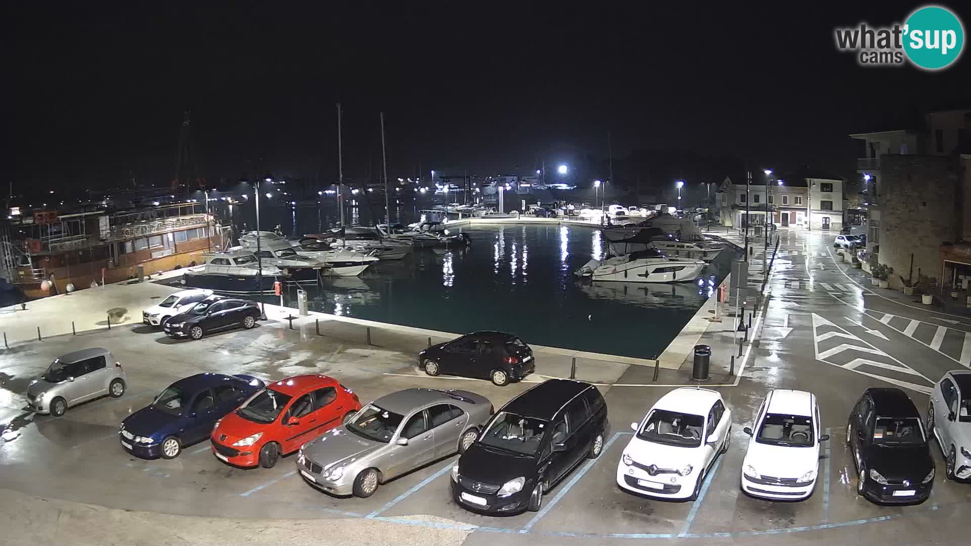 Novigrad | Porporela marina