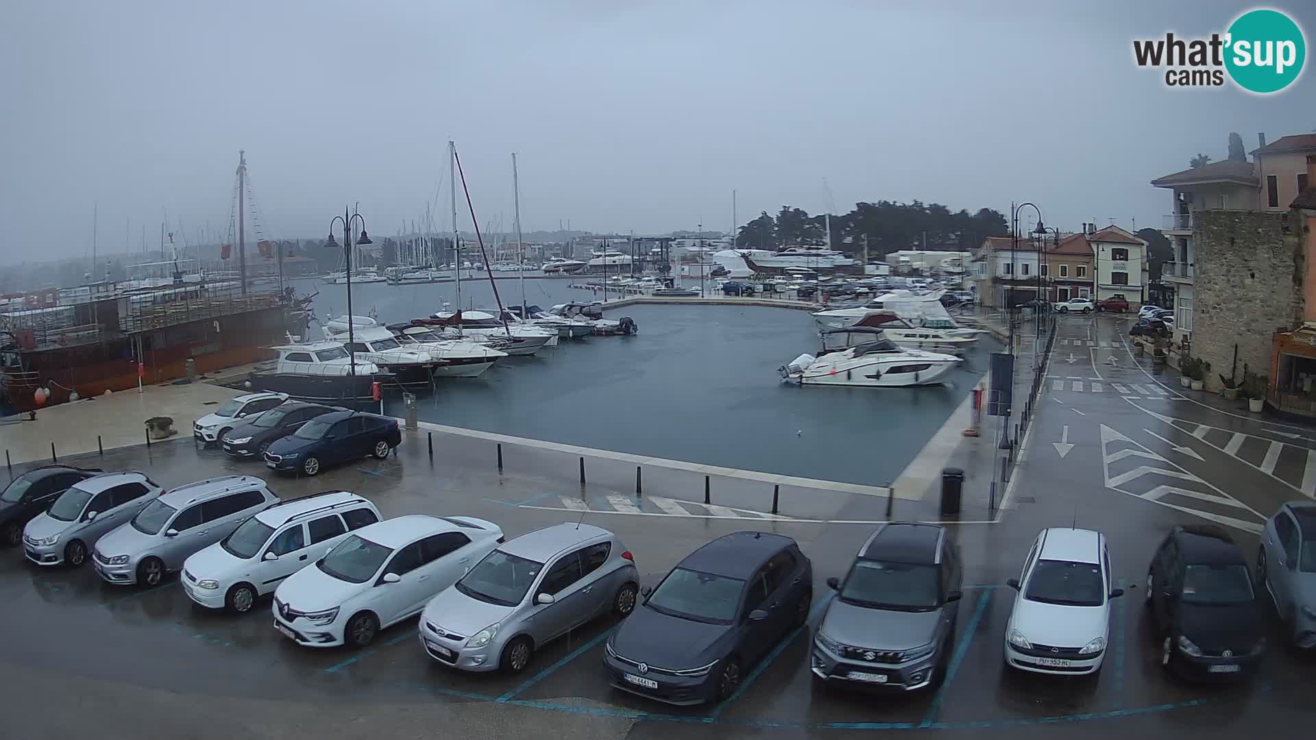 Novigrad | Porporela marina