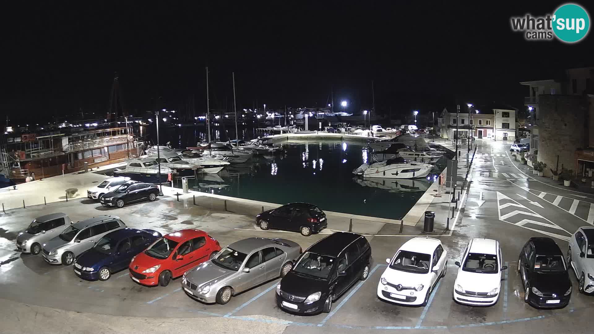 Novigrad | Porporela marina