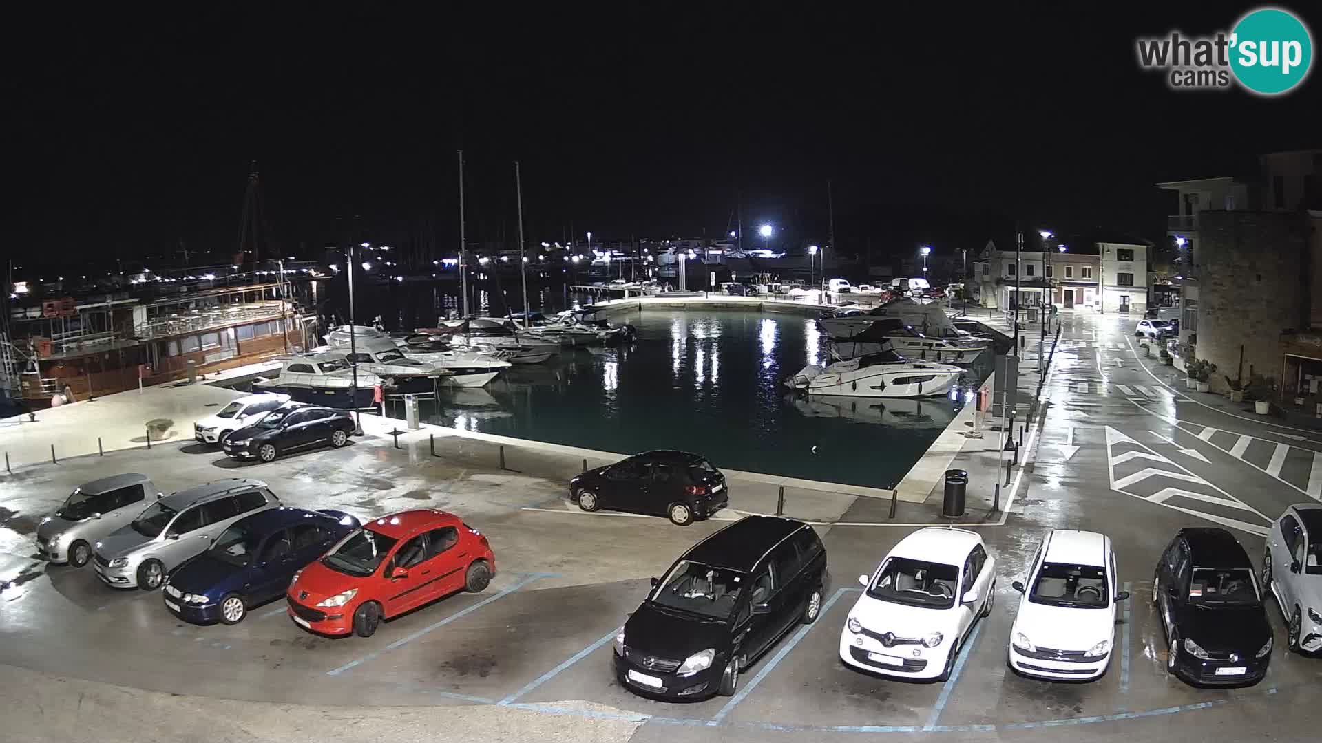 Novigrad | Porporela marina