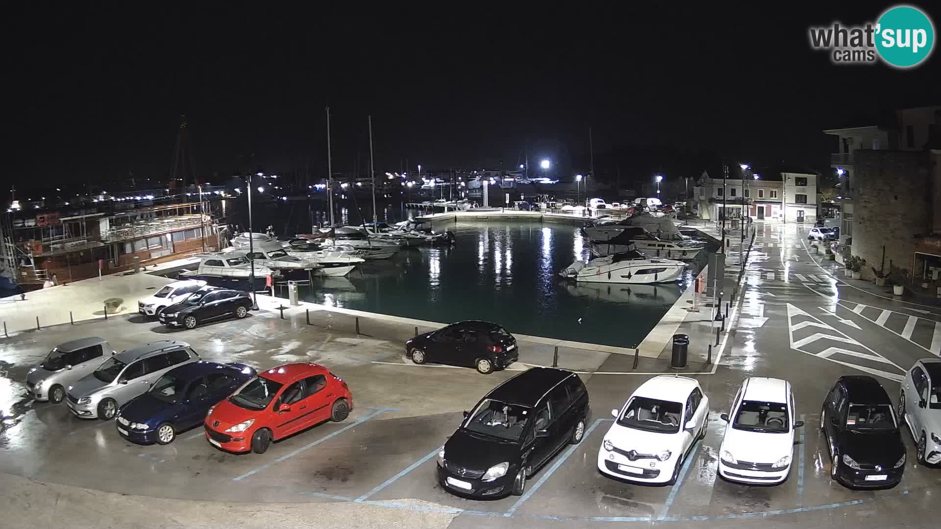 Novigrad | Porporela marina