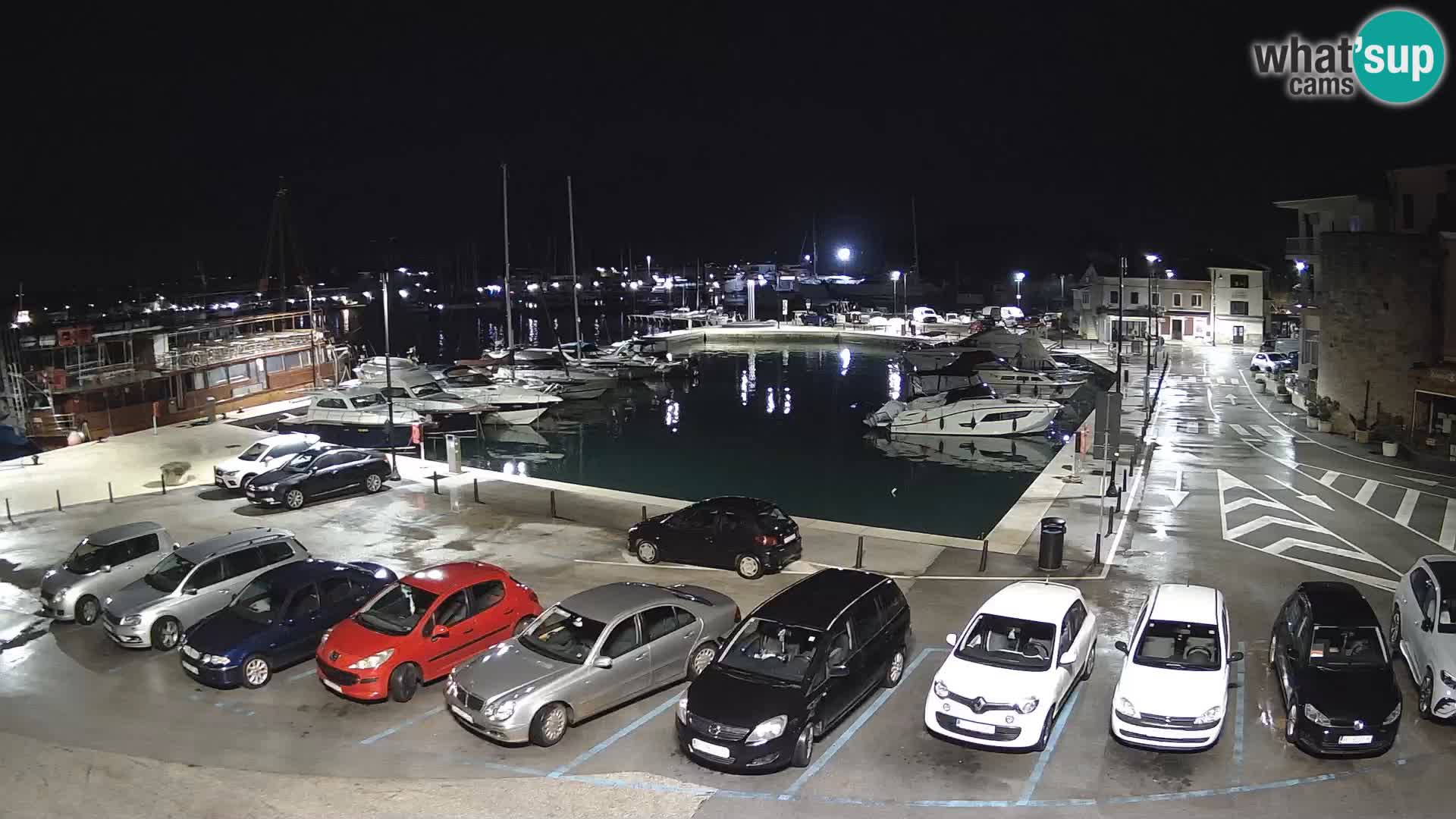 Novigrad | Porporela marina